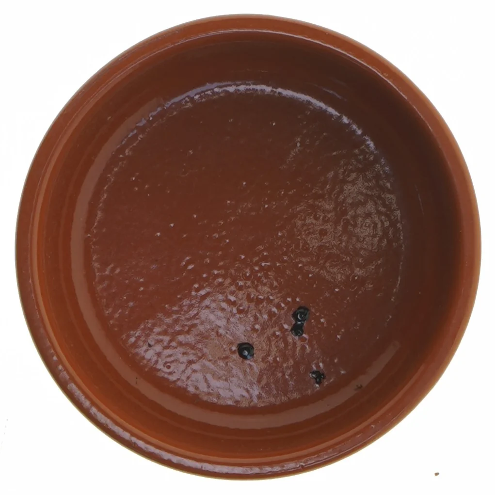 Terracotta potte fra Teofé's (str. Ø 12,5 cm)