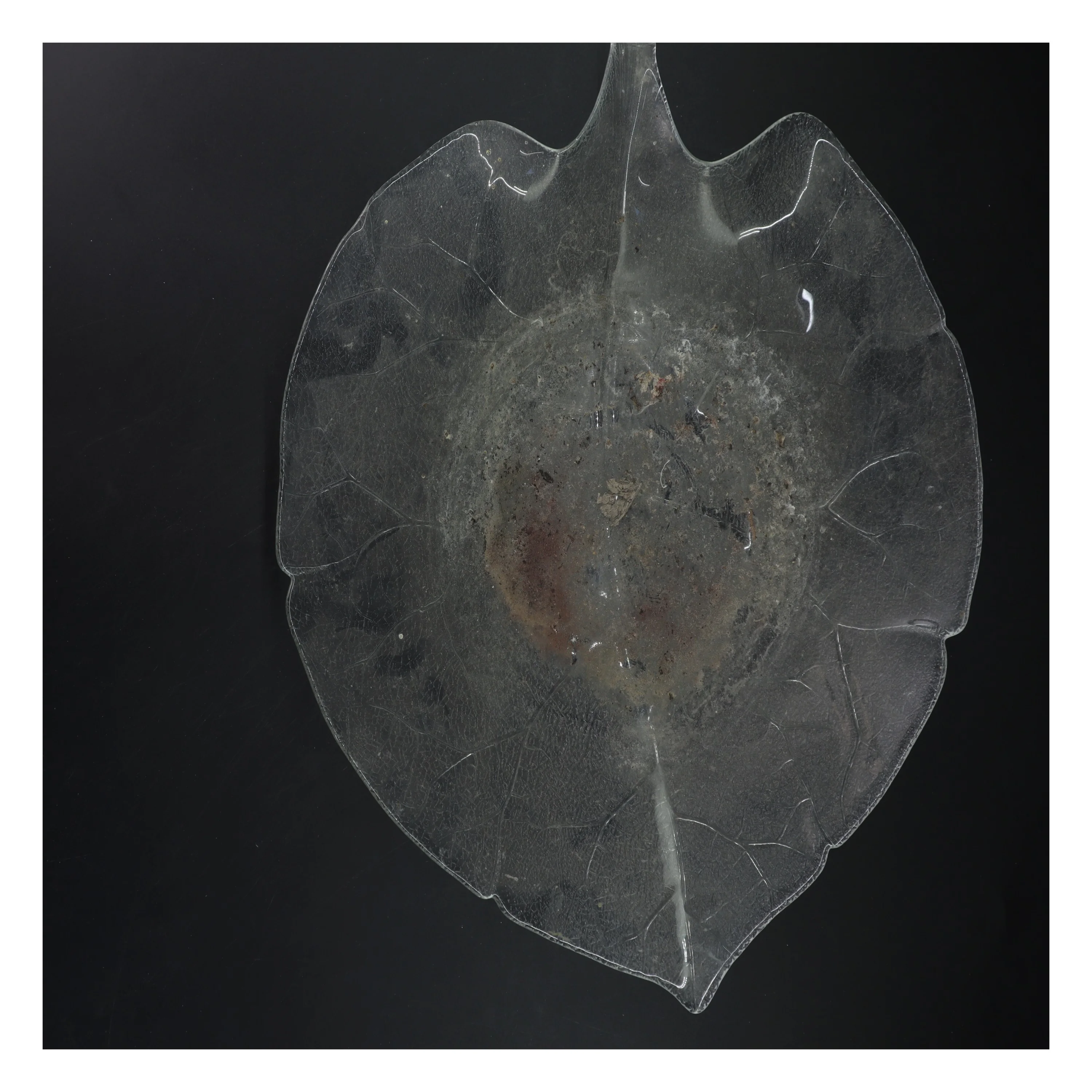 Stor dekorativ skål formet som et blad (str. Ø 38 cm)