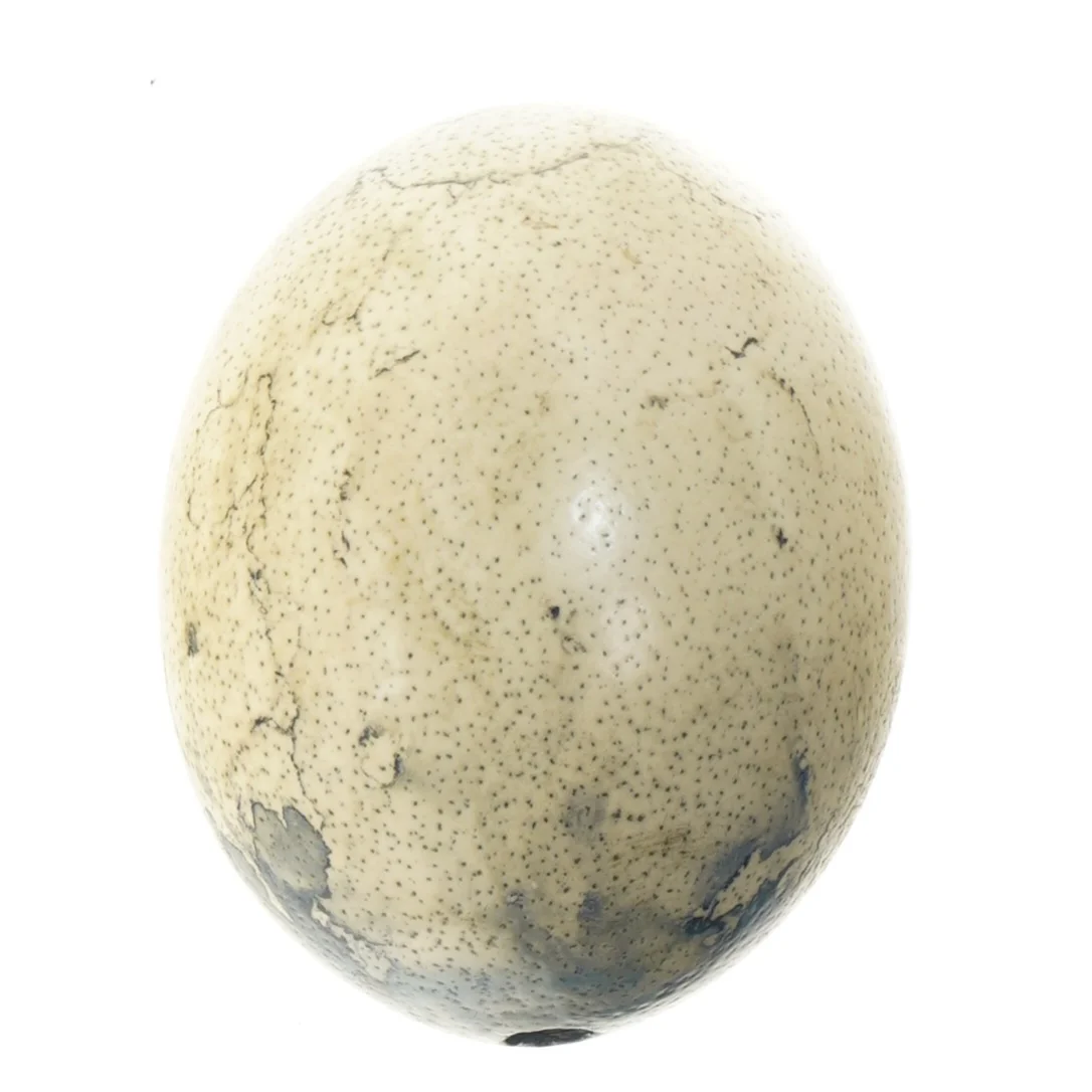 Dekorativt æg (str. 16 cm)