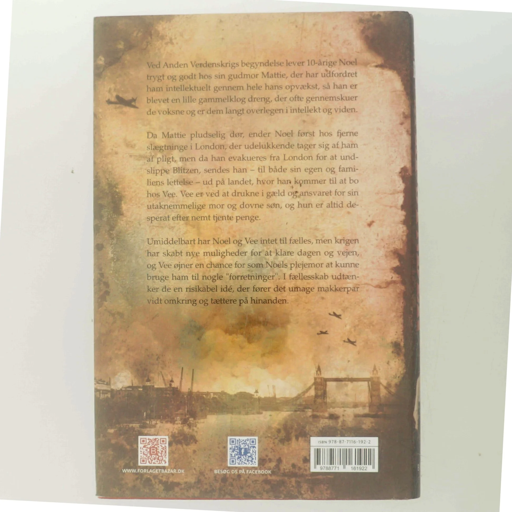 Små synder af Lissa Evans (Bog)