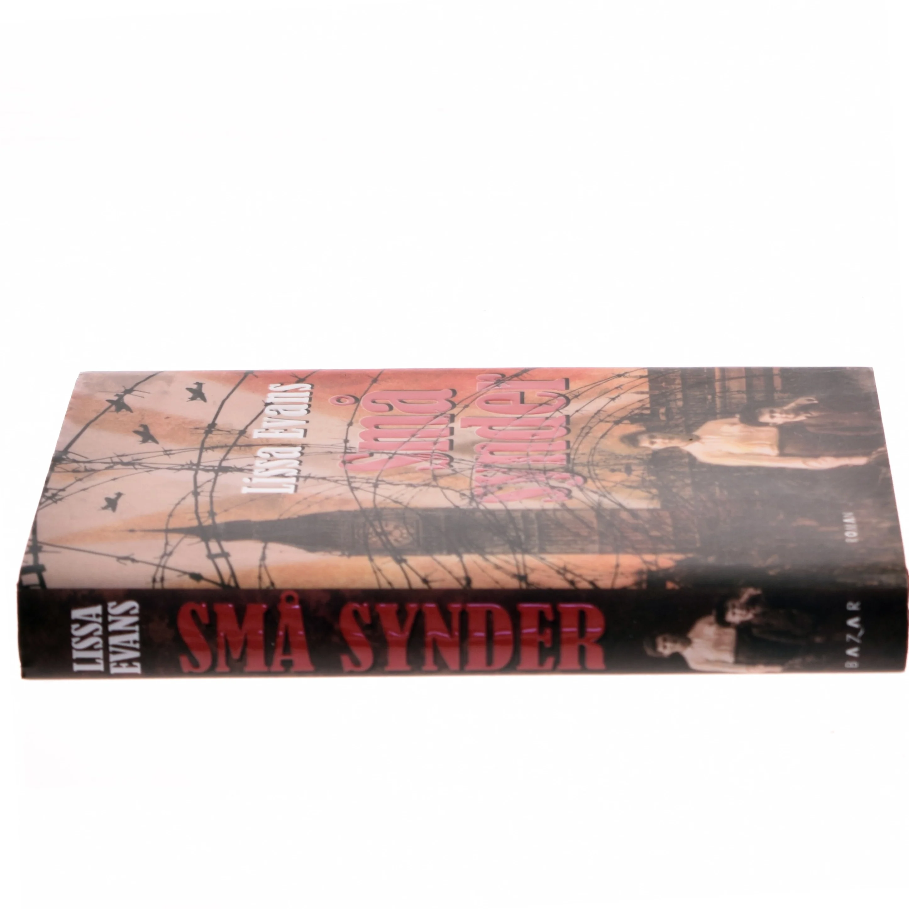 Små synder af Lissa Evans (Bog)