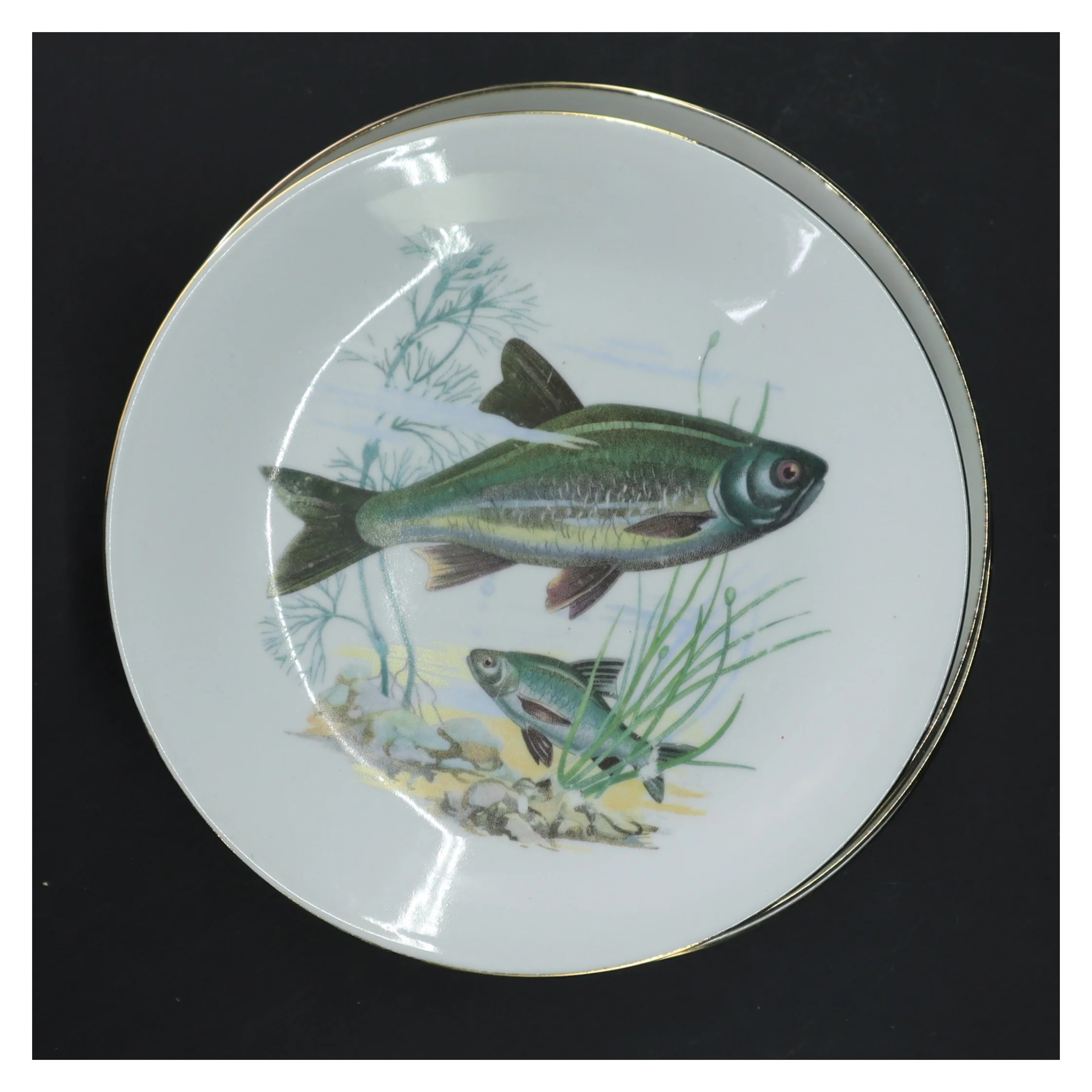 Porcelænstallerkener med fiskeillustrationer, 6 stk fra Kahla (str. 6 stk Ø 19 cm)