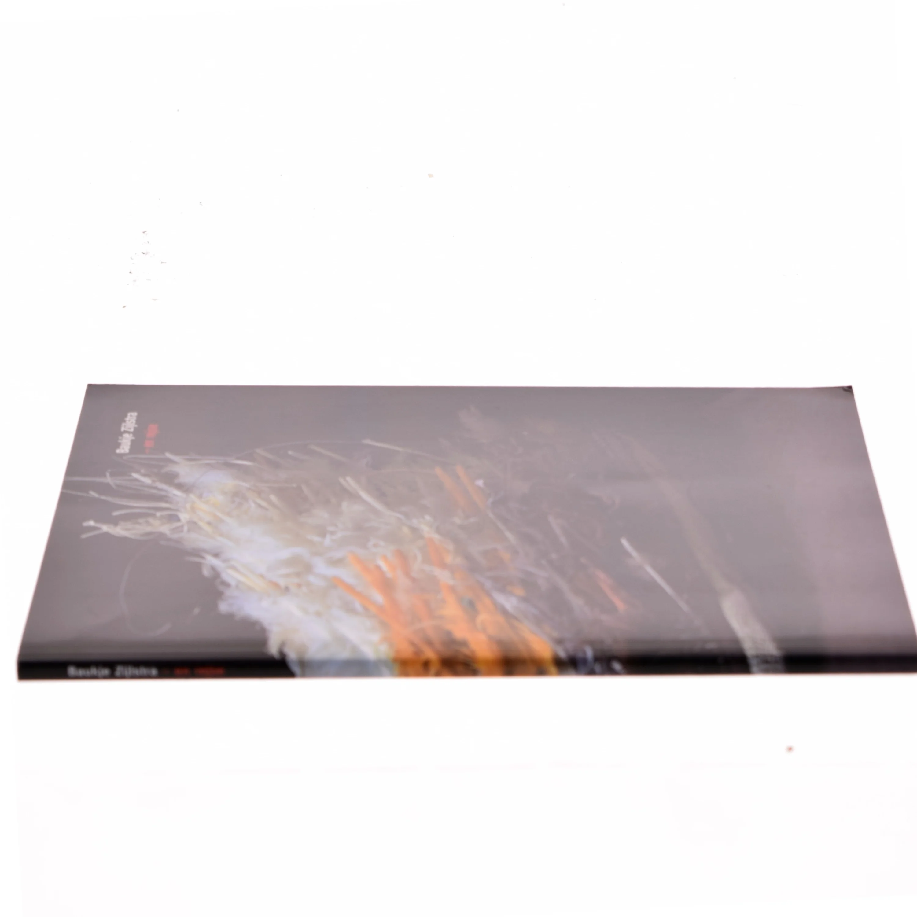 Bog om kunstnerisk rejse, Baukje Zijlstra