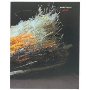 Bog om kunstnerisk rejse, Baukje Zijlstra