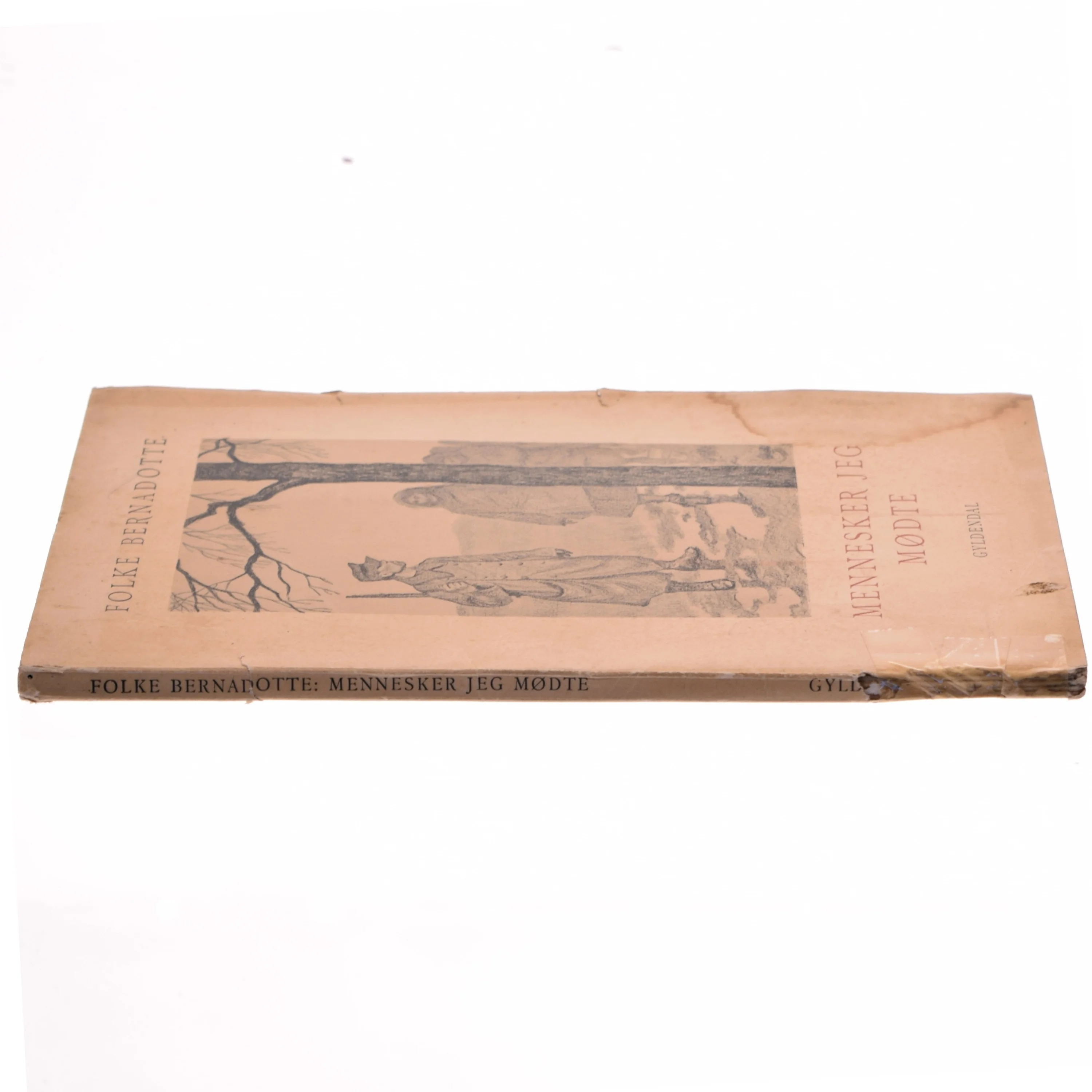 Mennesker jeg mødte af Folke Bernadotte (bog)