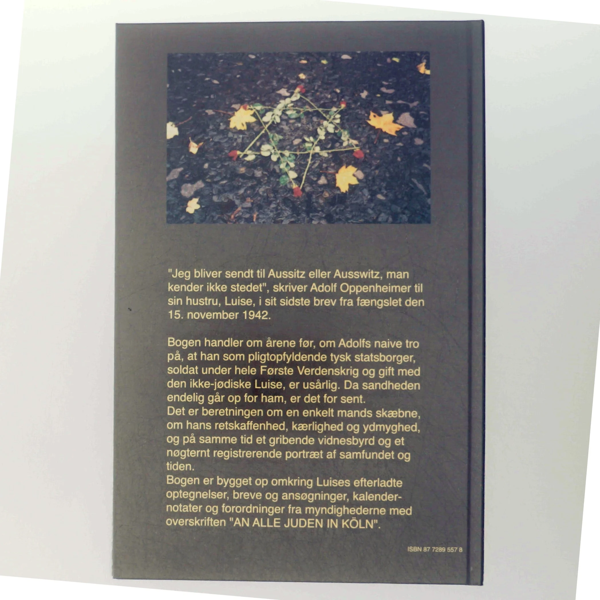 Bog: 'Før Auschwitz' af Berget Forchhammer ((Bog) fra Museum Tusculanums Forlag