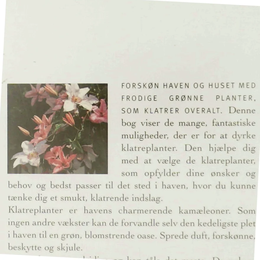 Der Hammer ist die 2. von links : kommunikativ tyskundervisning af Peter Clausen (f. 1955) (Bog)