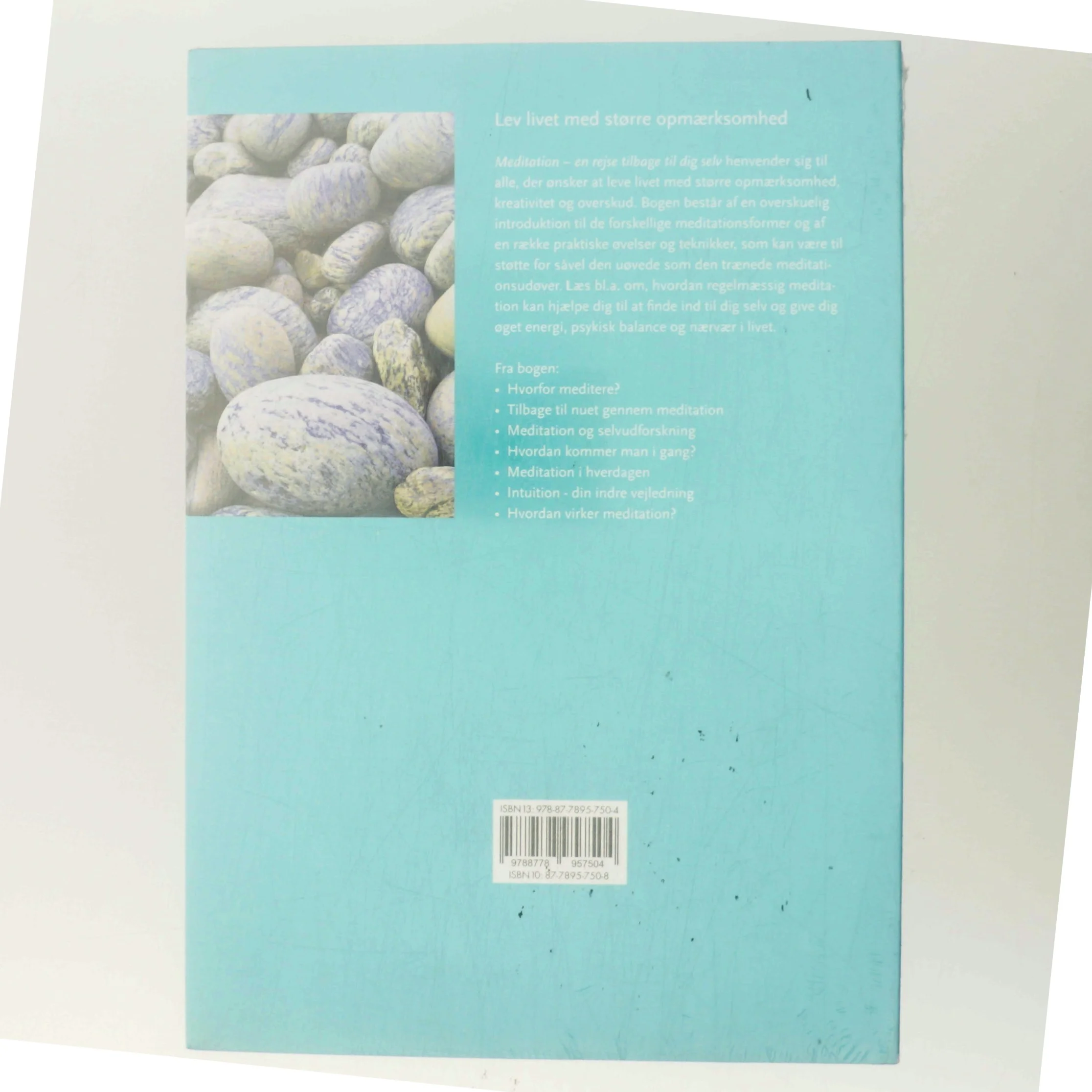 Meditation : en rejse tilbage til dig selv af Svend Trier (Bog)