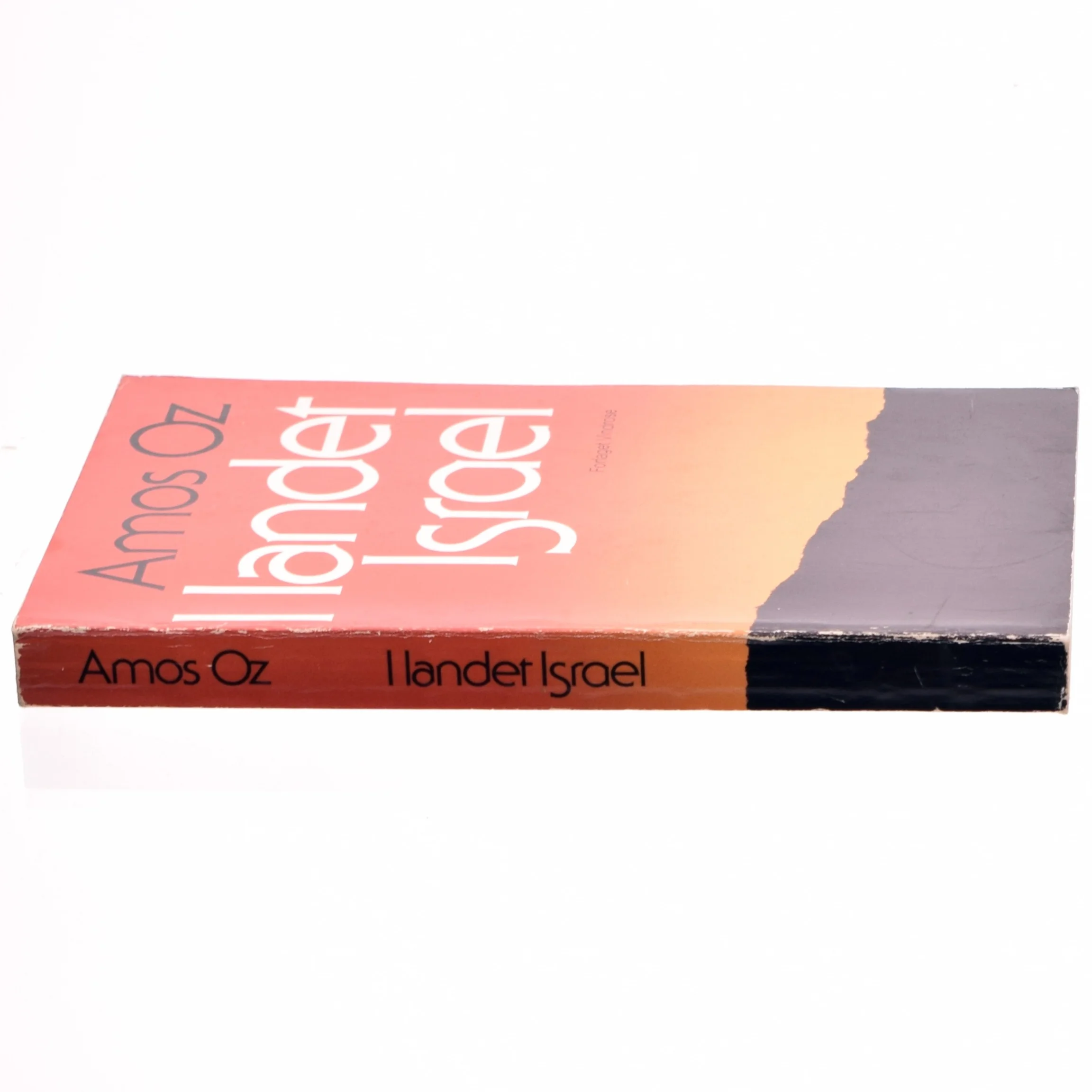 I landet Israel af Amos Oz (bog)