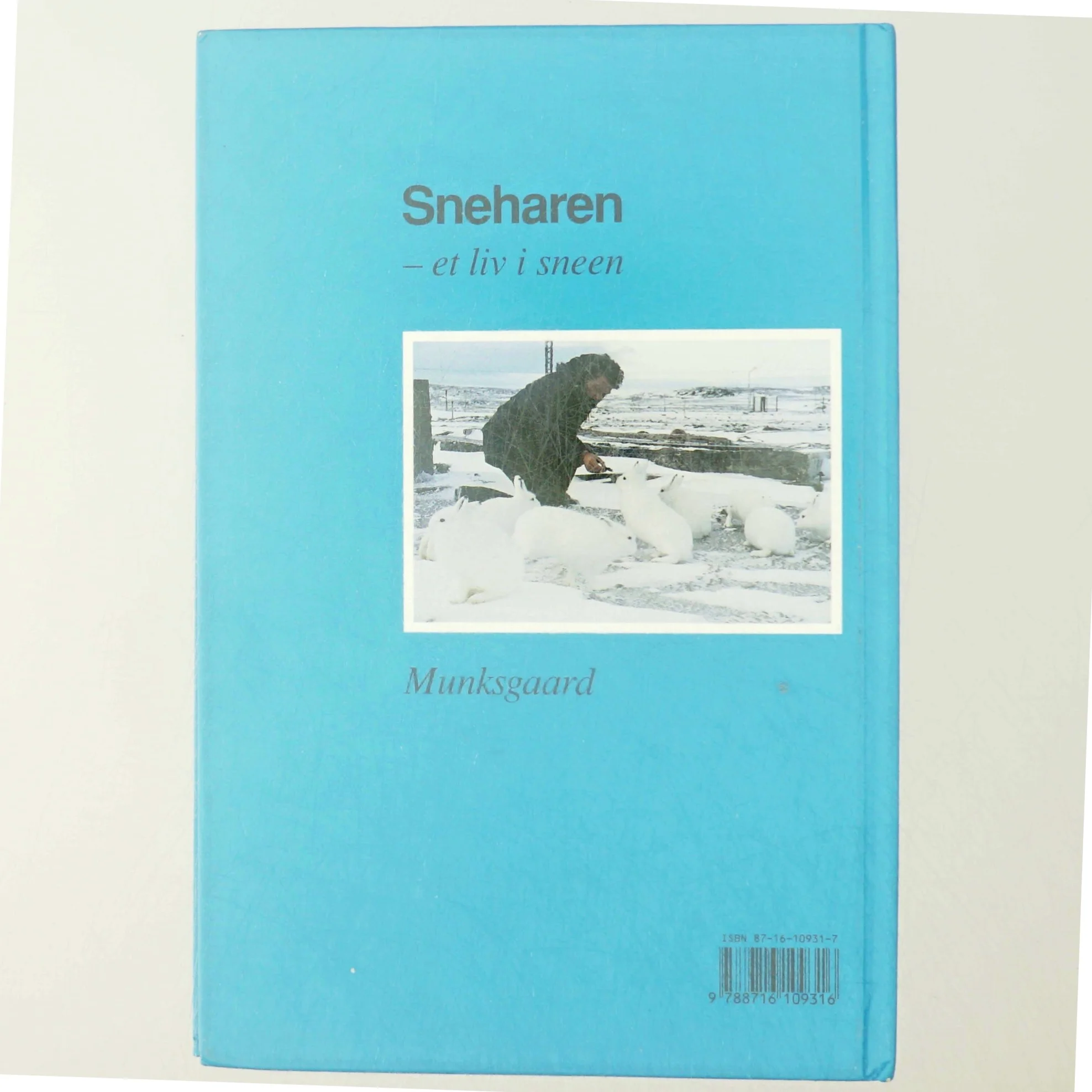 Knud Fischer: Sneharen