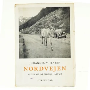 Nordvejen af Johannes V. Jensen (bog)