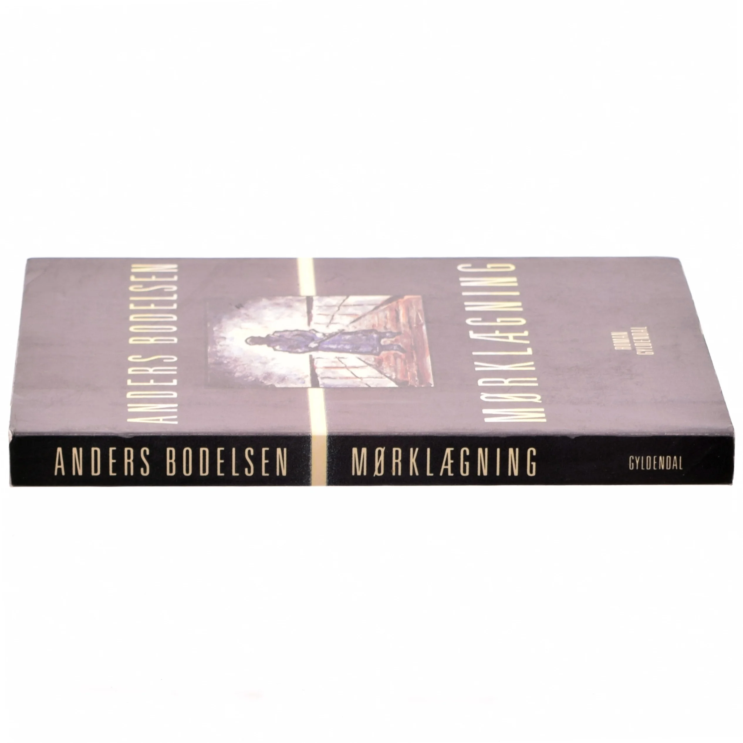 Mørklægning af Anders Bodelsen (bog)