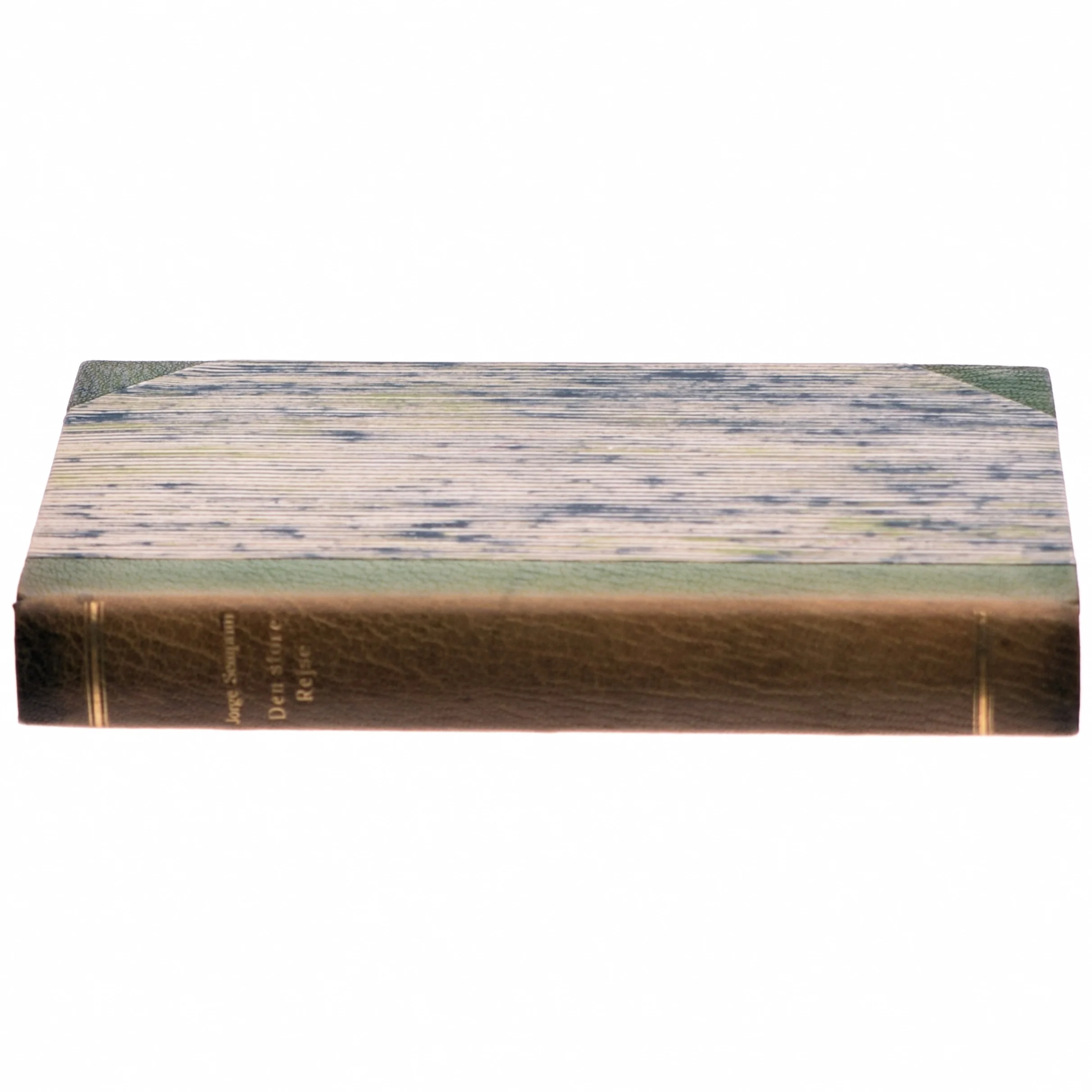 Den store rejse af Jorge Semprun (bog)