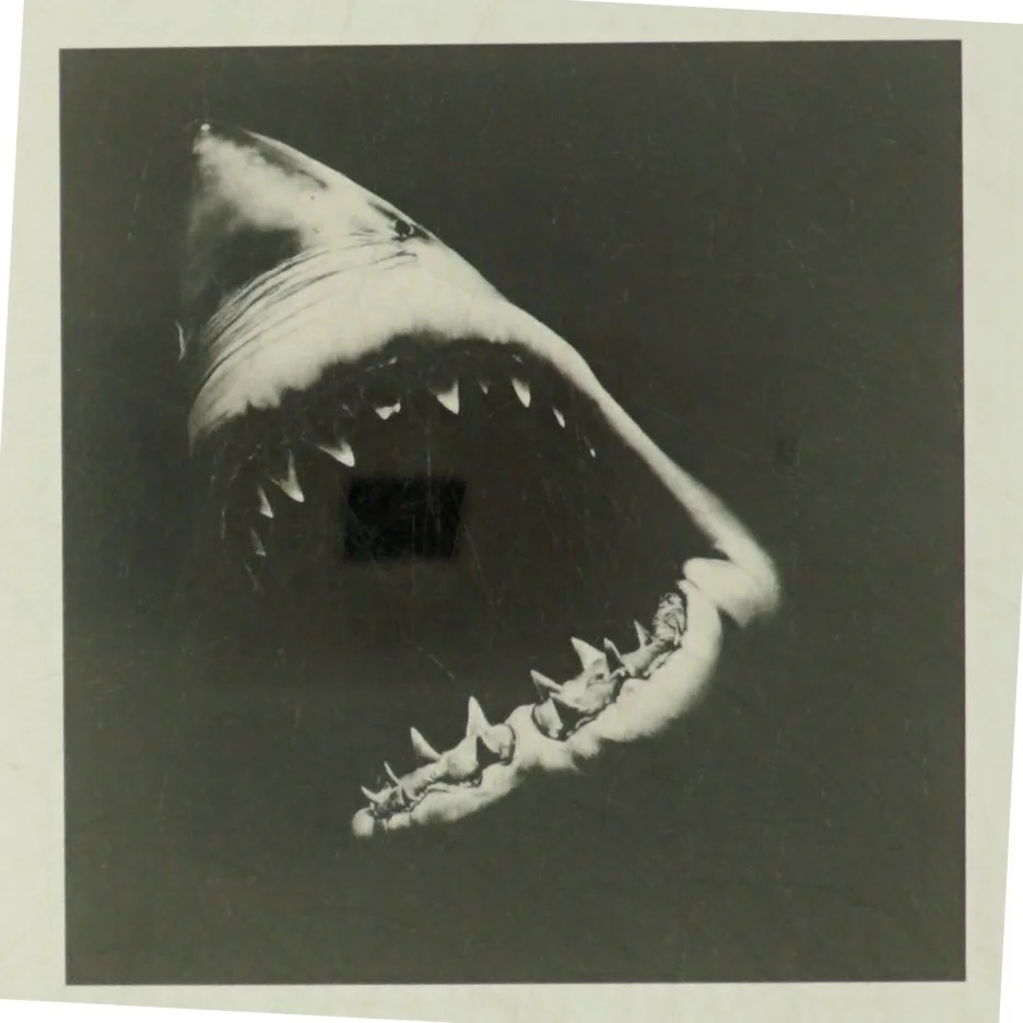 Hajlights & Hajku af Peter Vrist Rønn (bog)