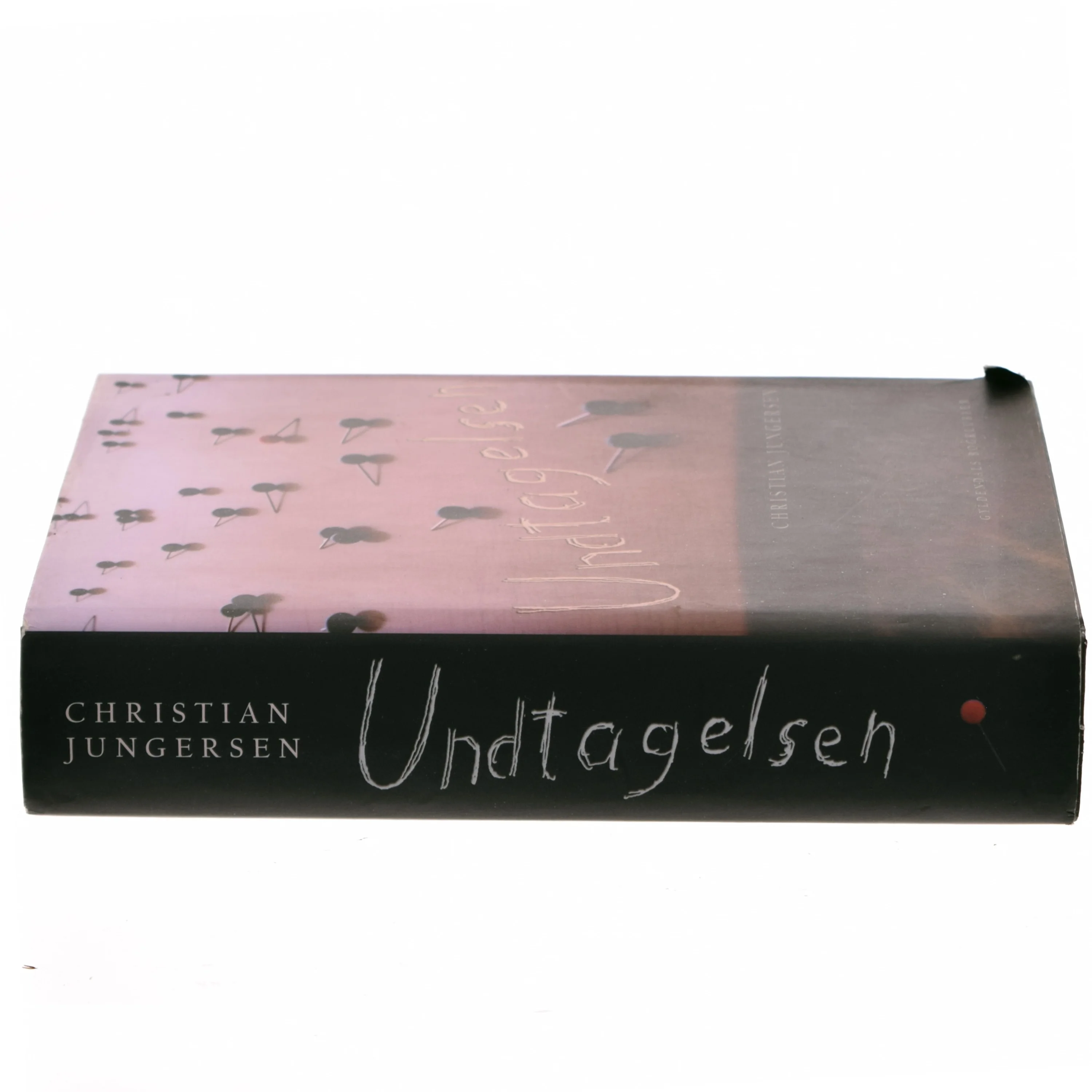 Undtagelsen : roman af Christian Jungersen (Bog)