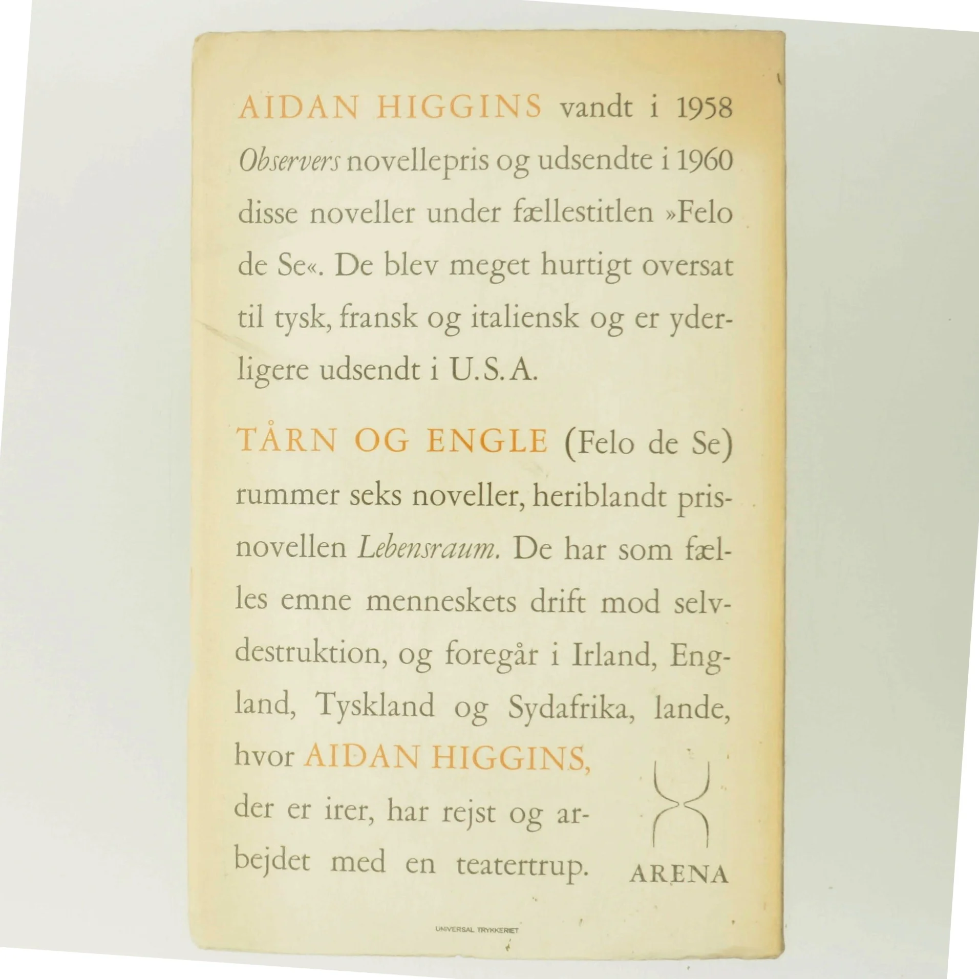 Tårn og Engle af Aidan Higgins (Bog)
