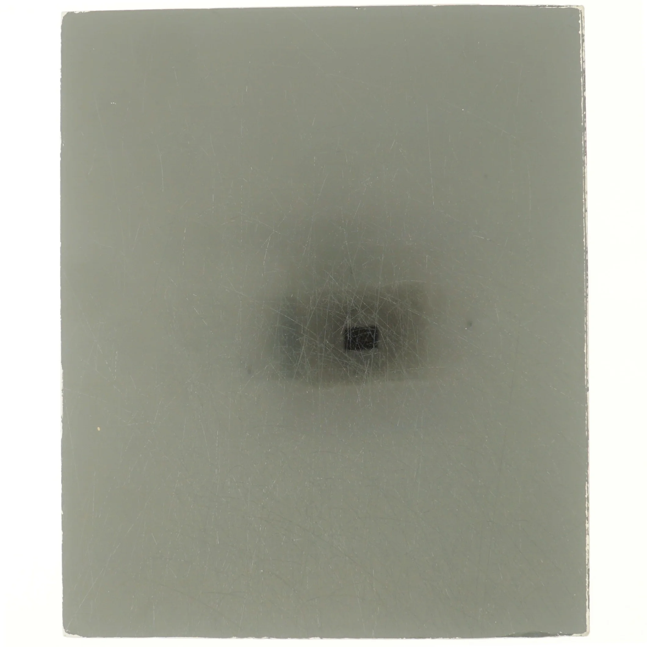 Portrætter af Lise Svanholm (bog)