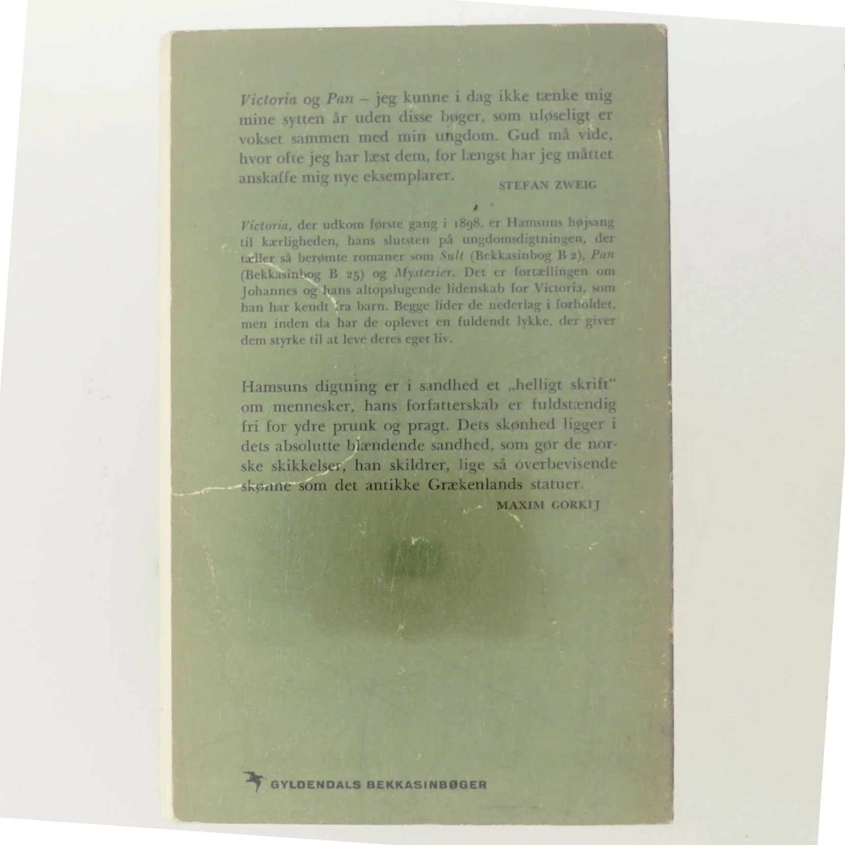 Victoria af Knut Hamsun (Bog)