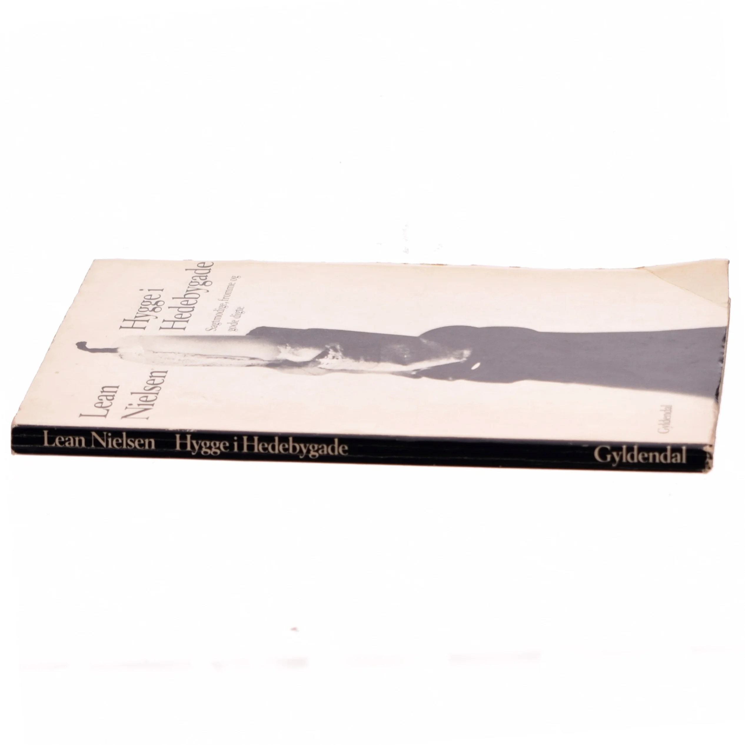 Hygge i Hedebygade af Lean Nielsen (bog)