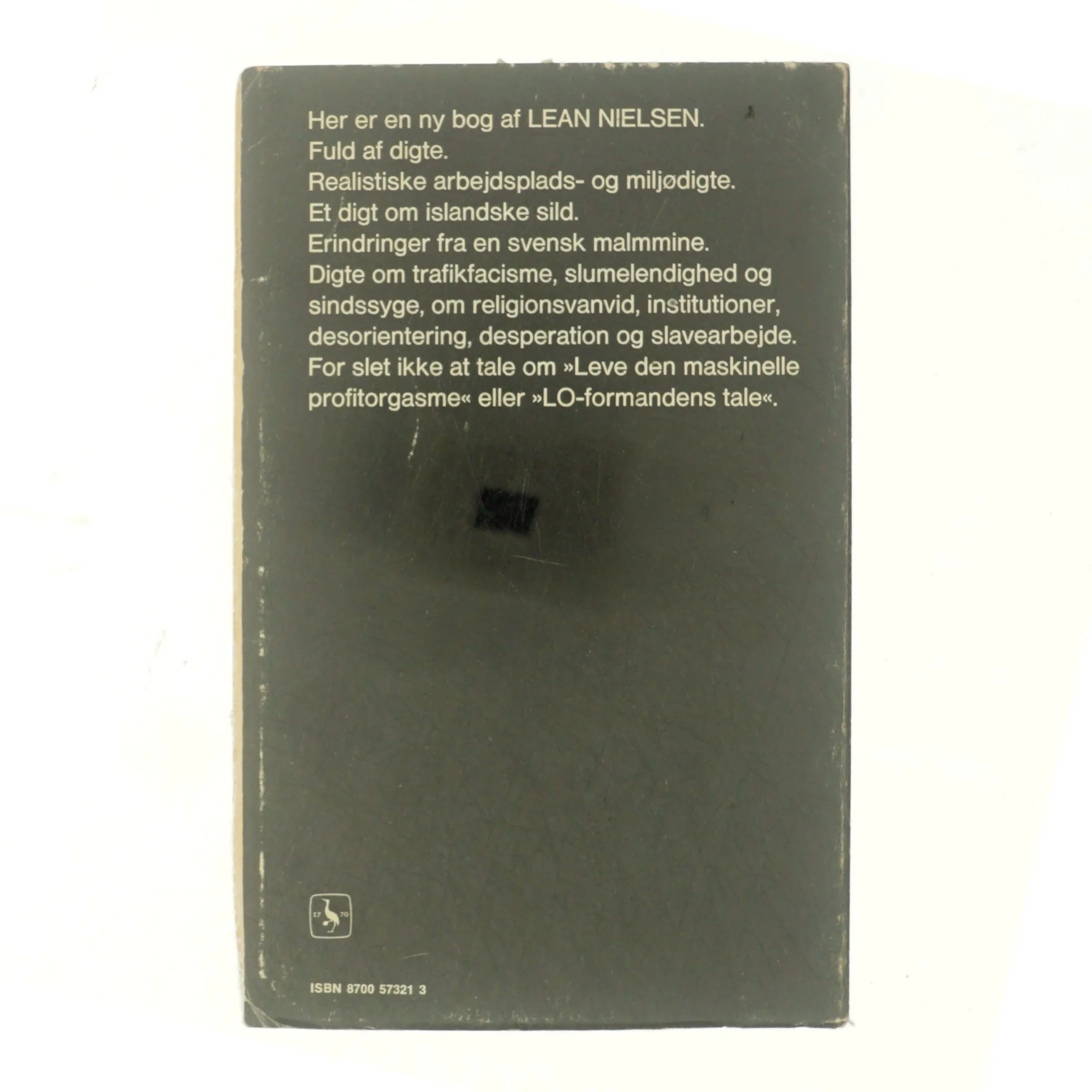 Hygge i Hedebygade af Lean Nielsen (bog)