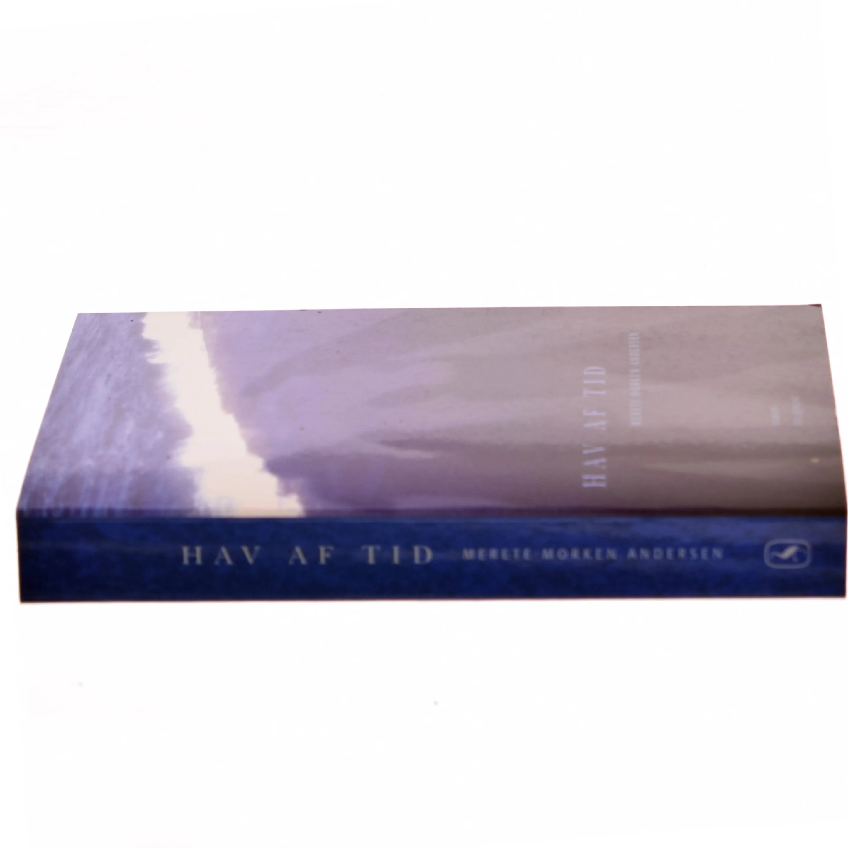 Hav af tid : roman af Merete Morken Andersen (Bog)