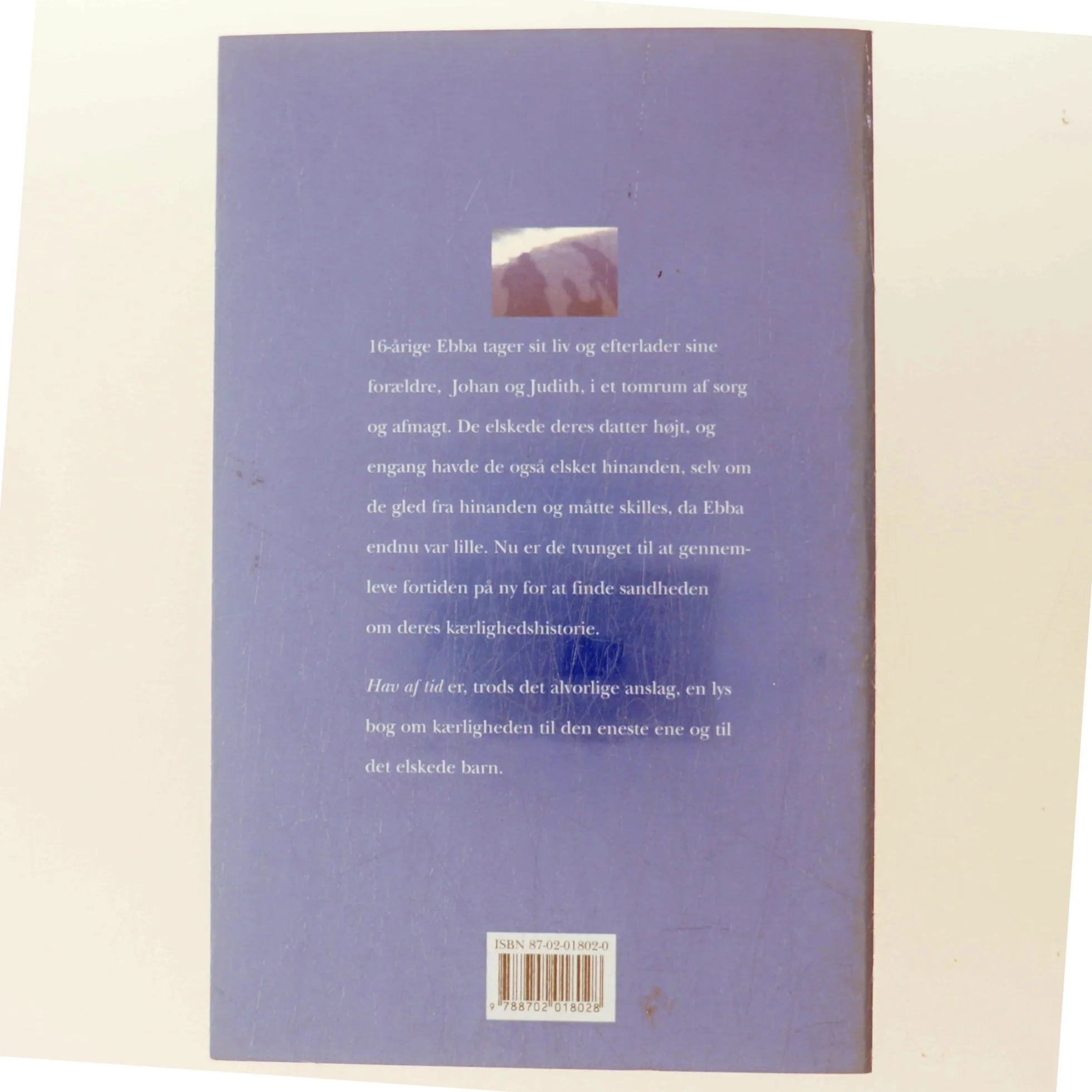 Hav af tid : roman af Merete Morken Andersen (Bog)