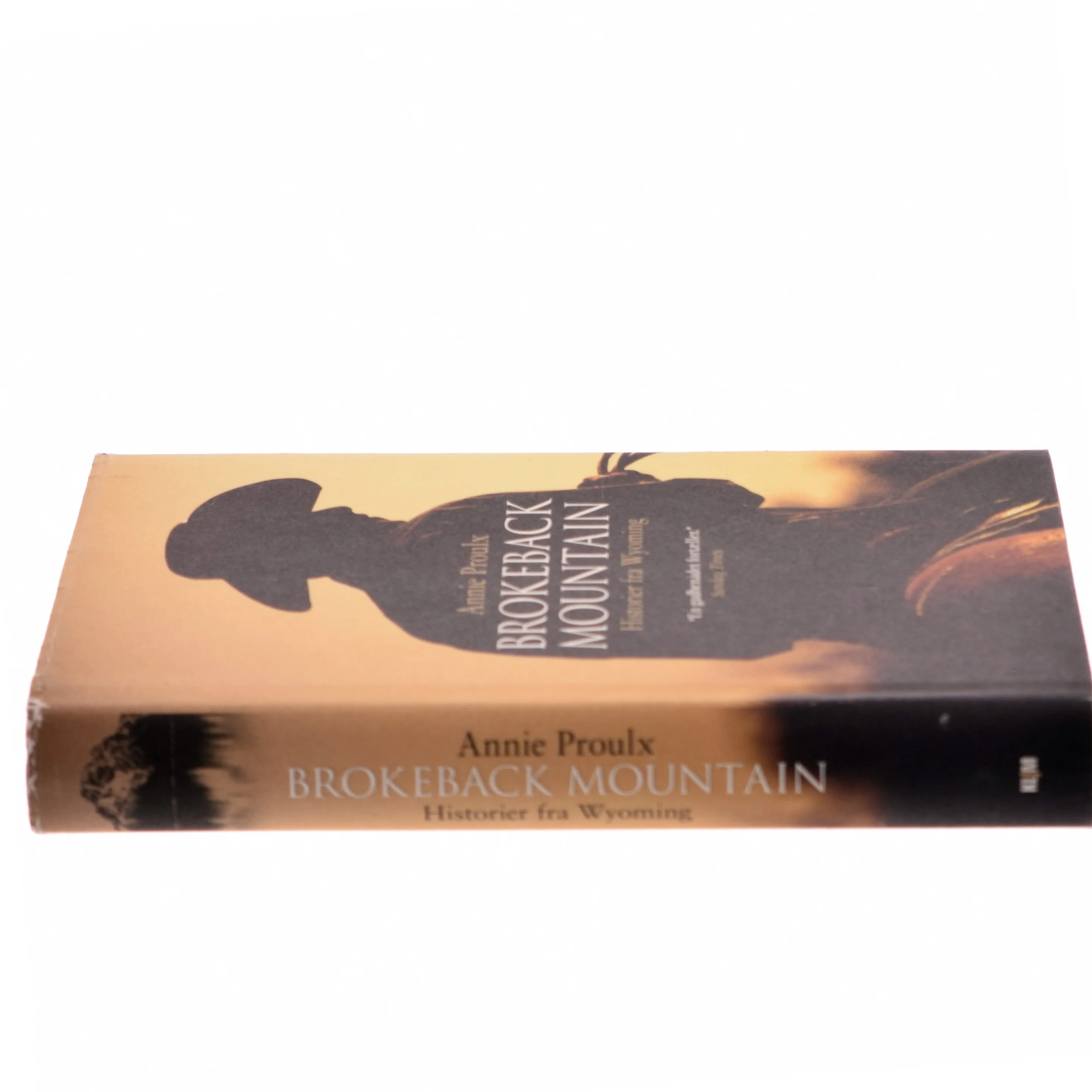 Brokeback Mountain : historier fra Wyoming af E. Annie Proulx (Bog)