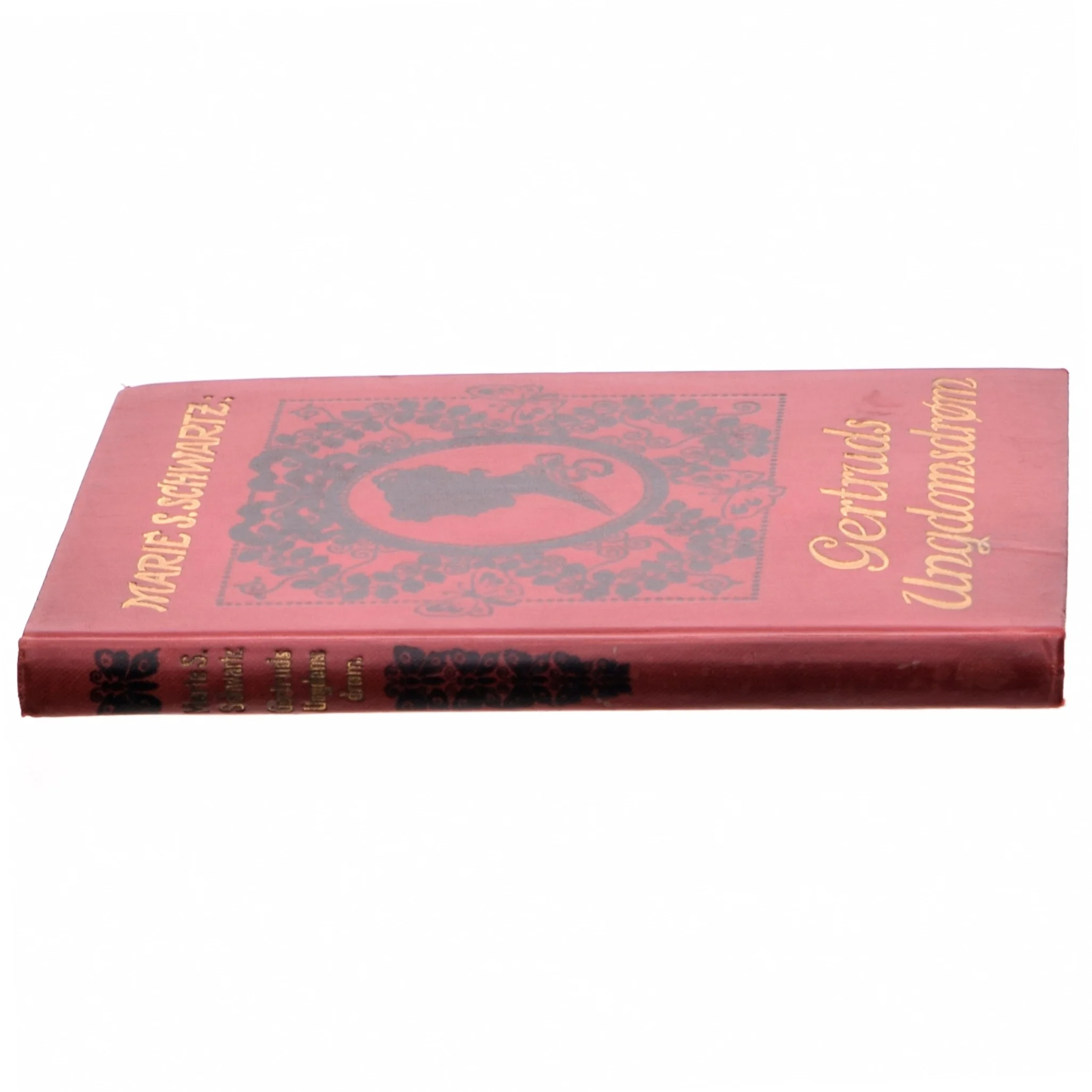 Gertuds ungdomsdrøm af Marie S. Schwartz (bog)