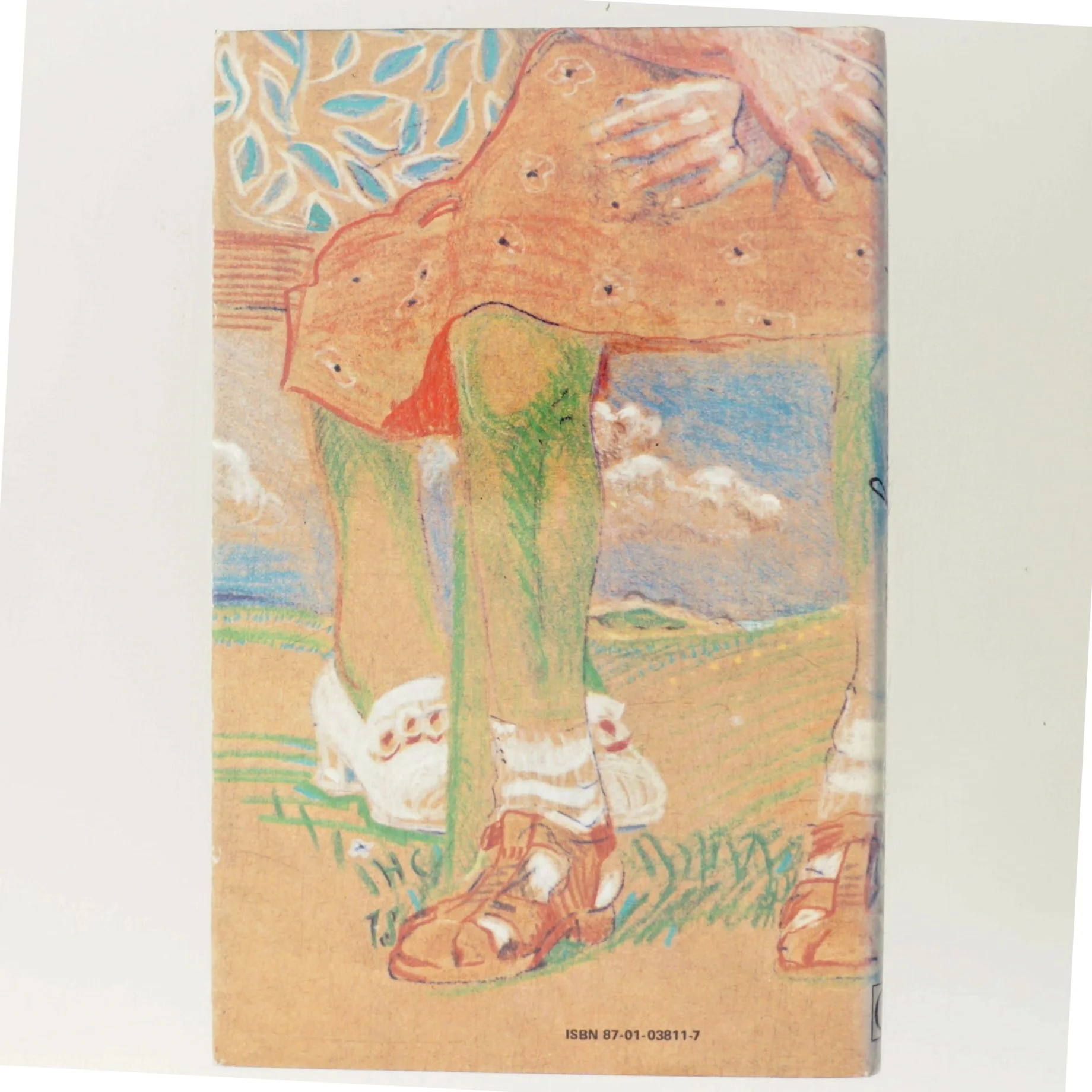 Lille Jonna af Kirsten Thorup (Bog)