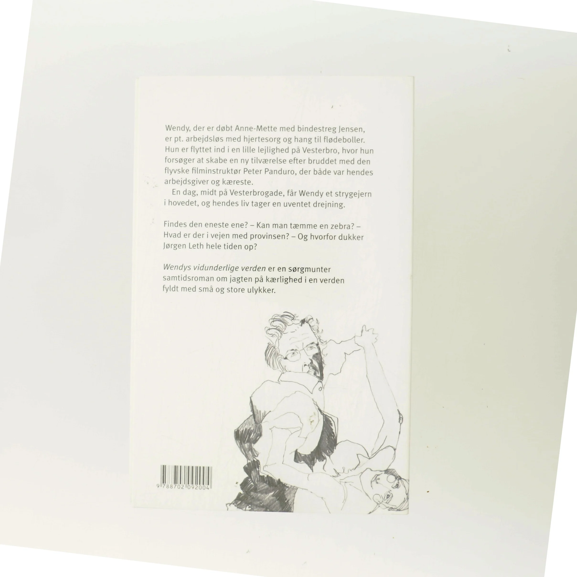 Wendys vidunderlige verden : roman af Marianne Verge (f. 1976) (Bog)