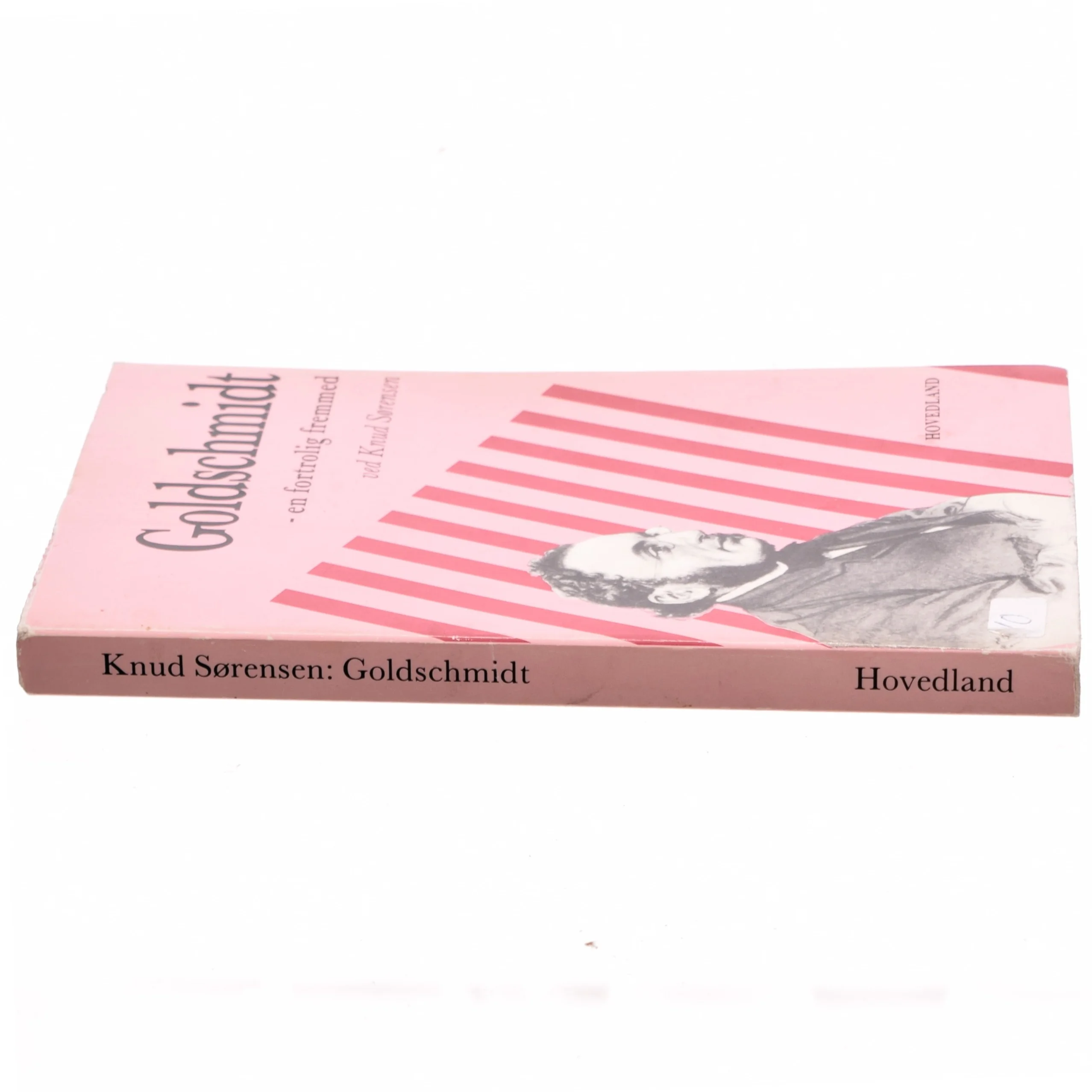 Goldschmidt - en fortrolig fremmed af Knud Sørensen (bog)