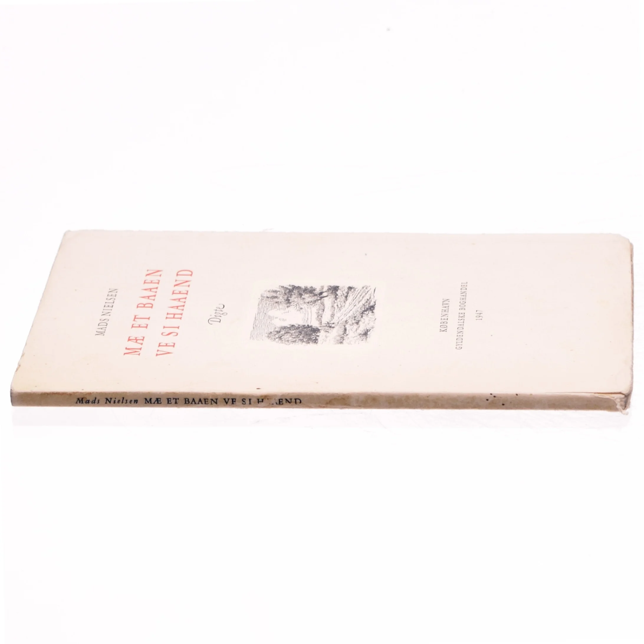 Mæ et baaen ve si haaend af Mads Nielsen (bog)