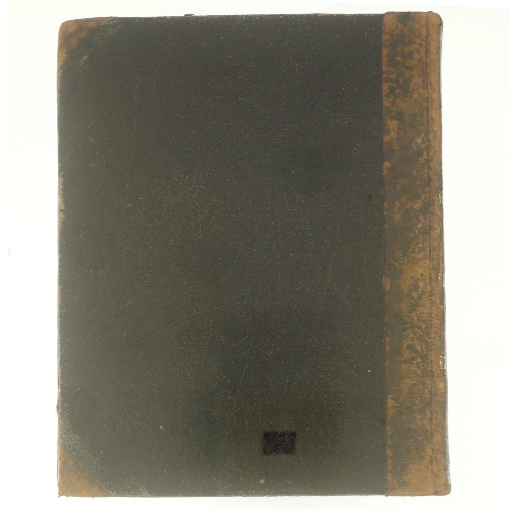 Henrik Pontoppidan: Torben og Jytte