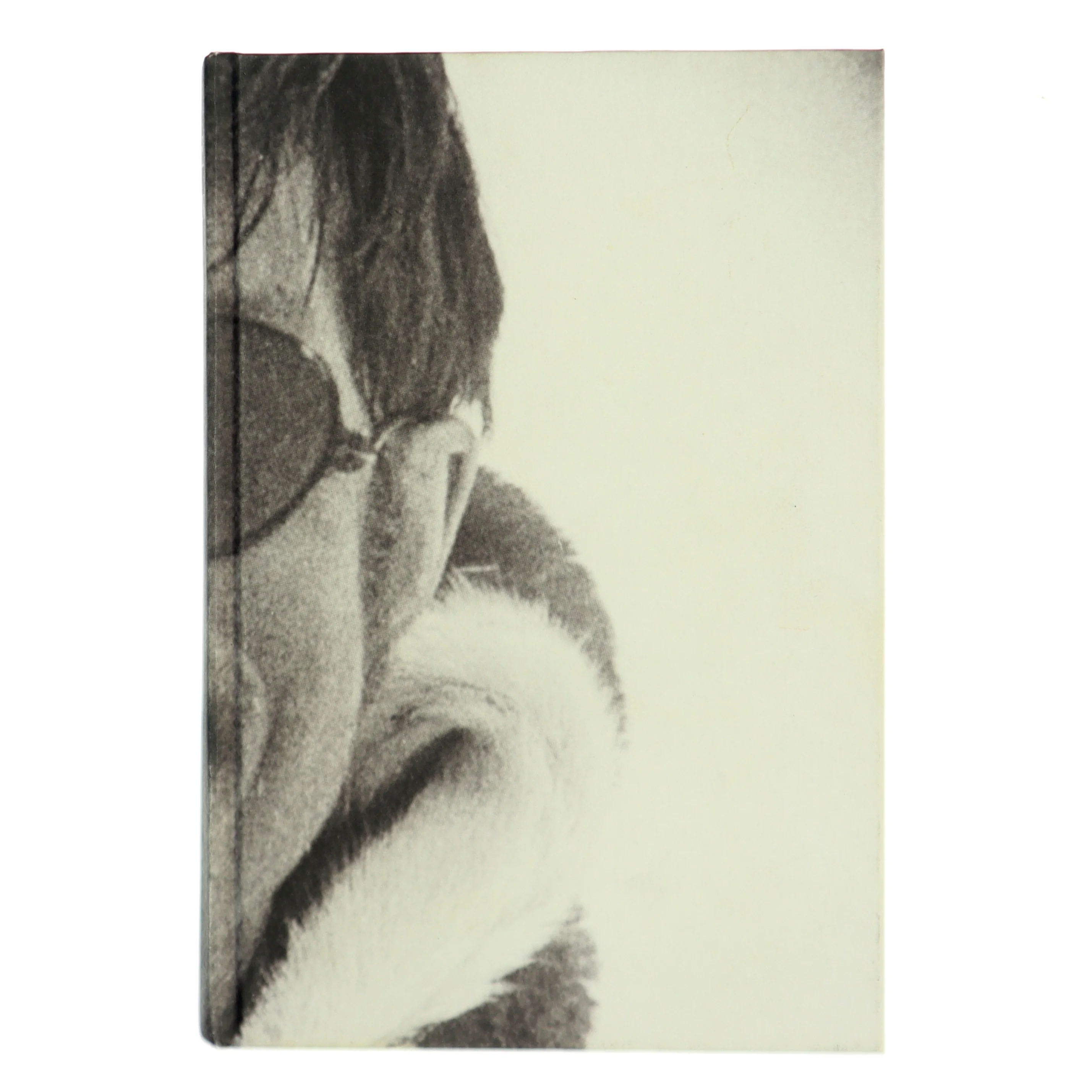 Manden bag helten af Niels Barfoed (Bog)