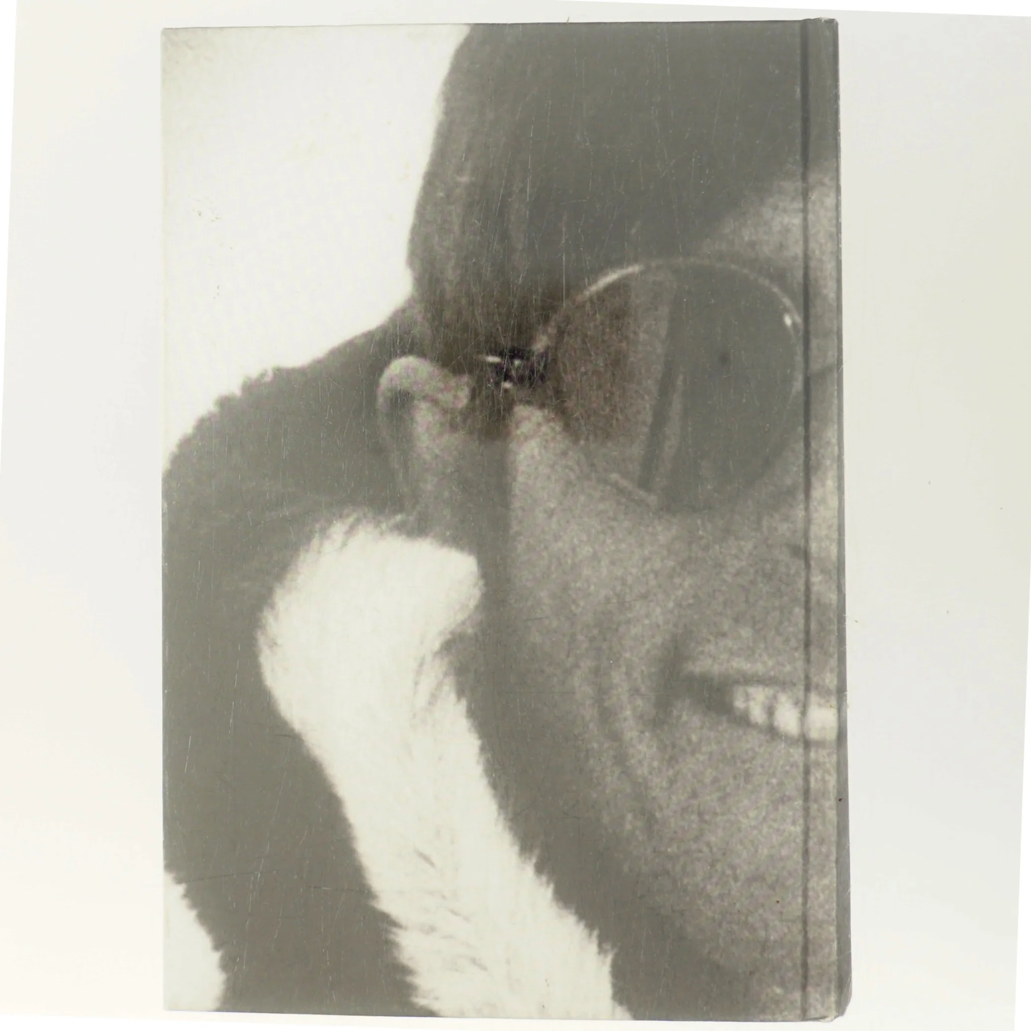 Manden bag helten af Niels Barfoed (Bog)