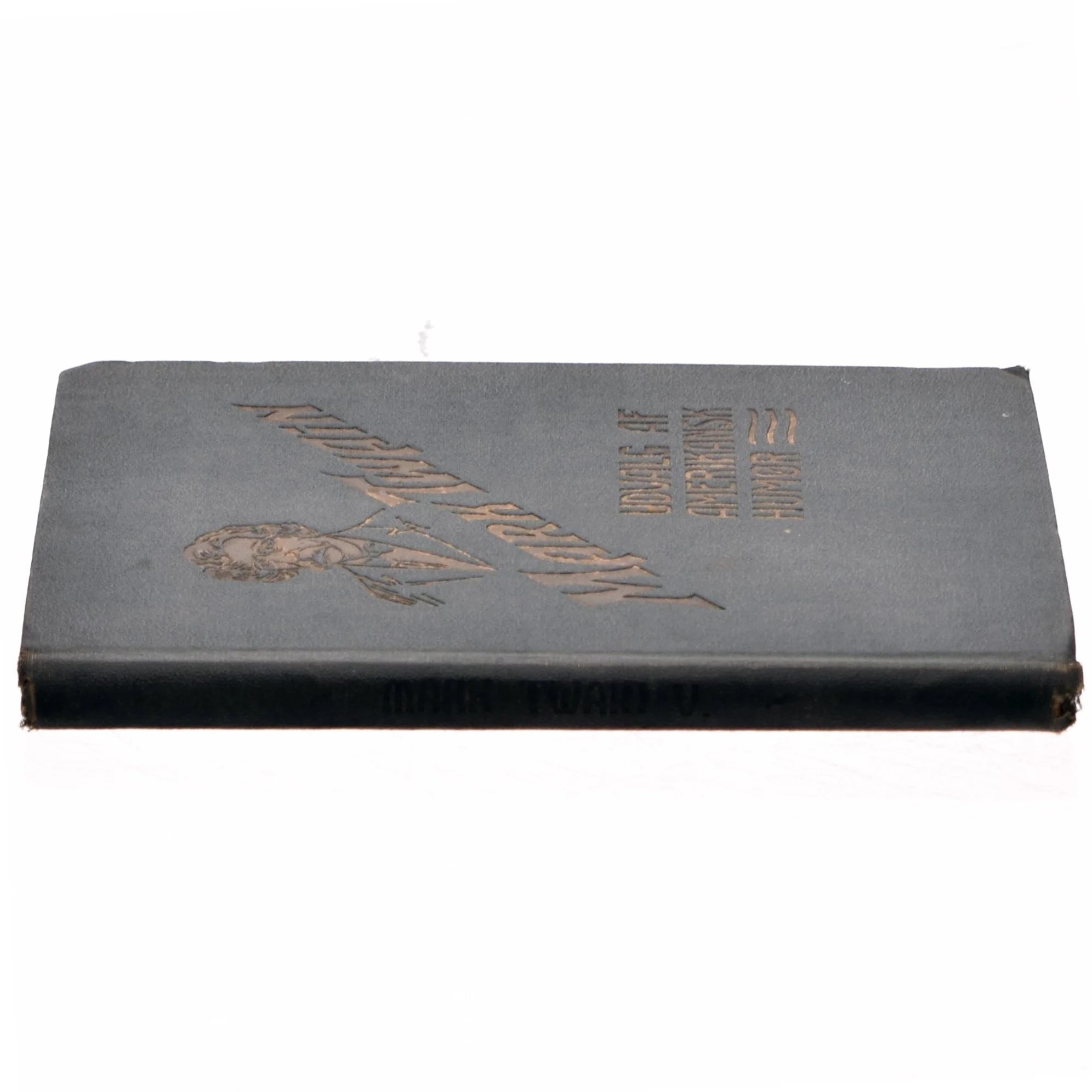 Udvalg af amerikansk humør af Mark Twain (bog)