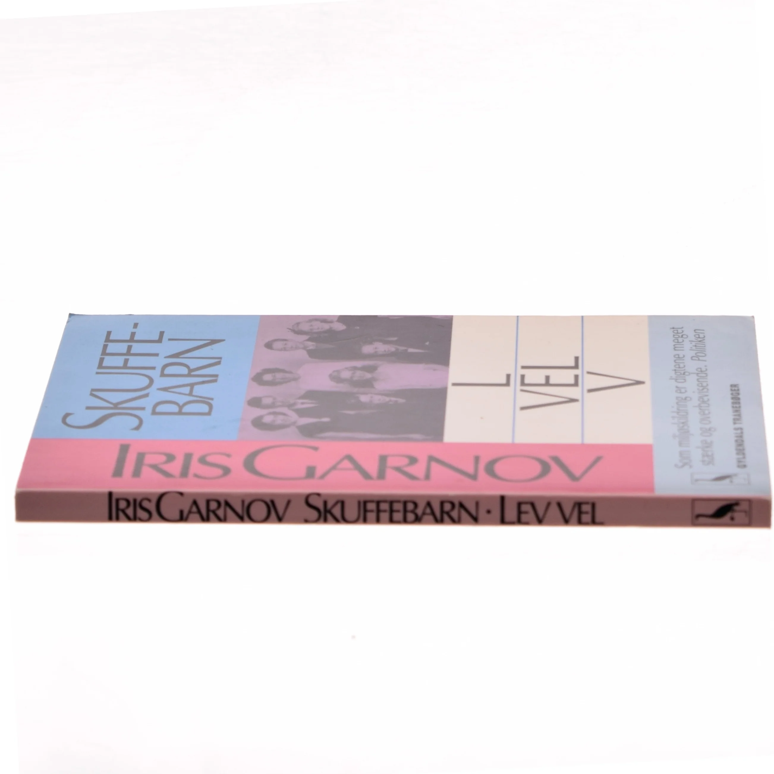 Skuffebarn af Iris Garnov (Bog)