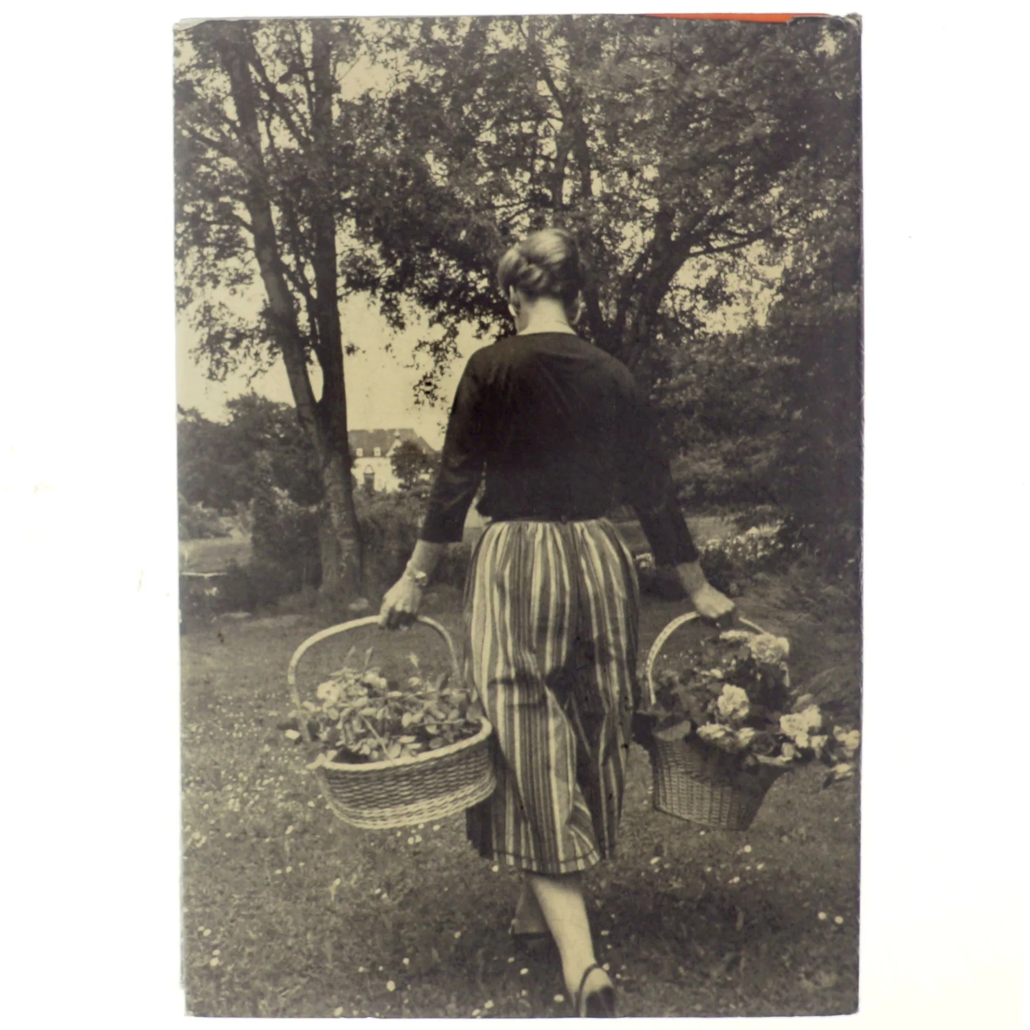 Dronning i Danmark af Anne Wolden-Ræthlinge