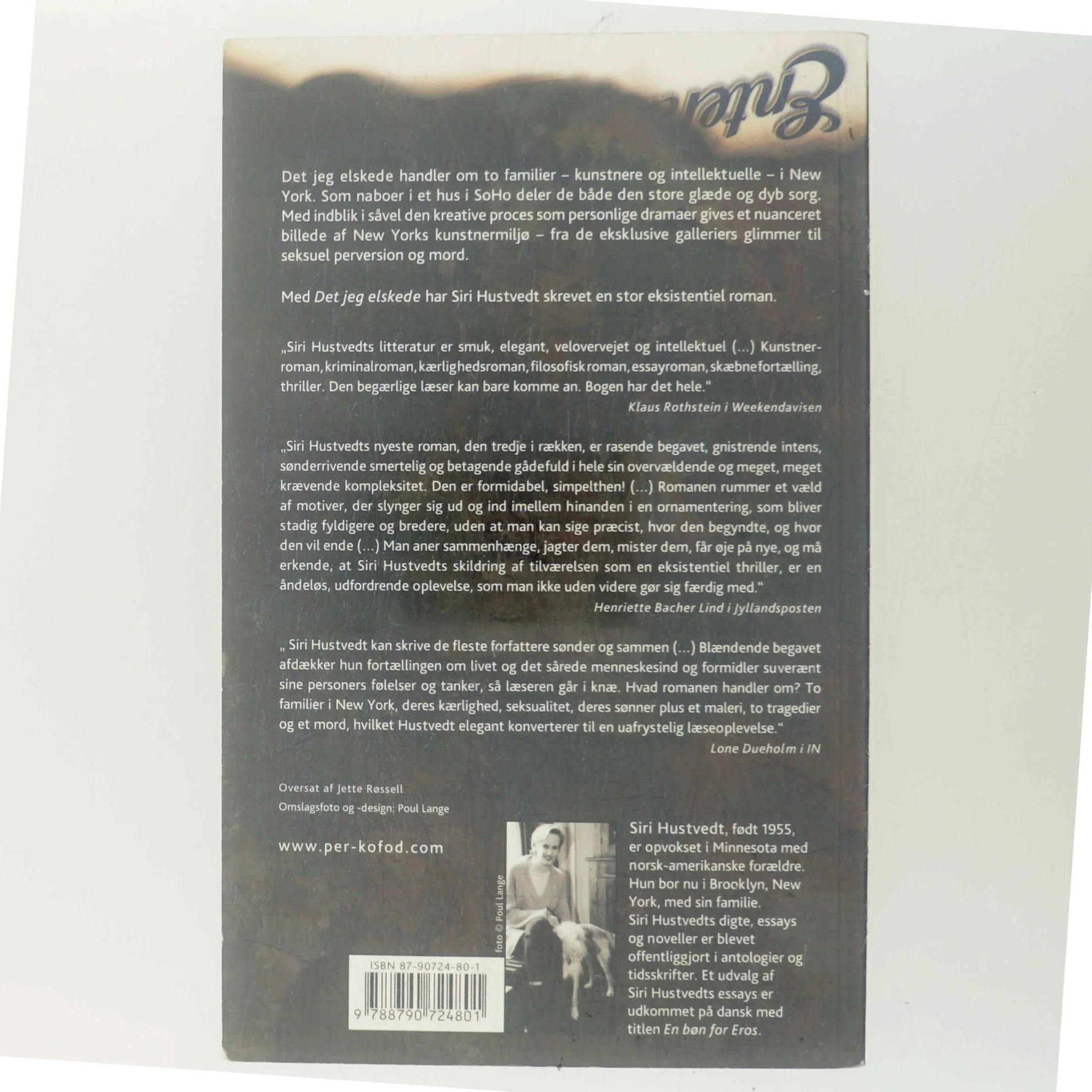 Det jeg elskede : roman af Siri Hustvedt (Bog)