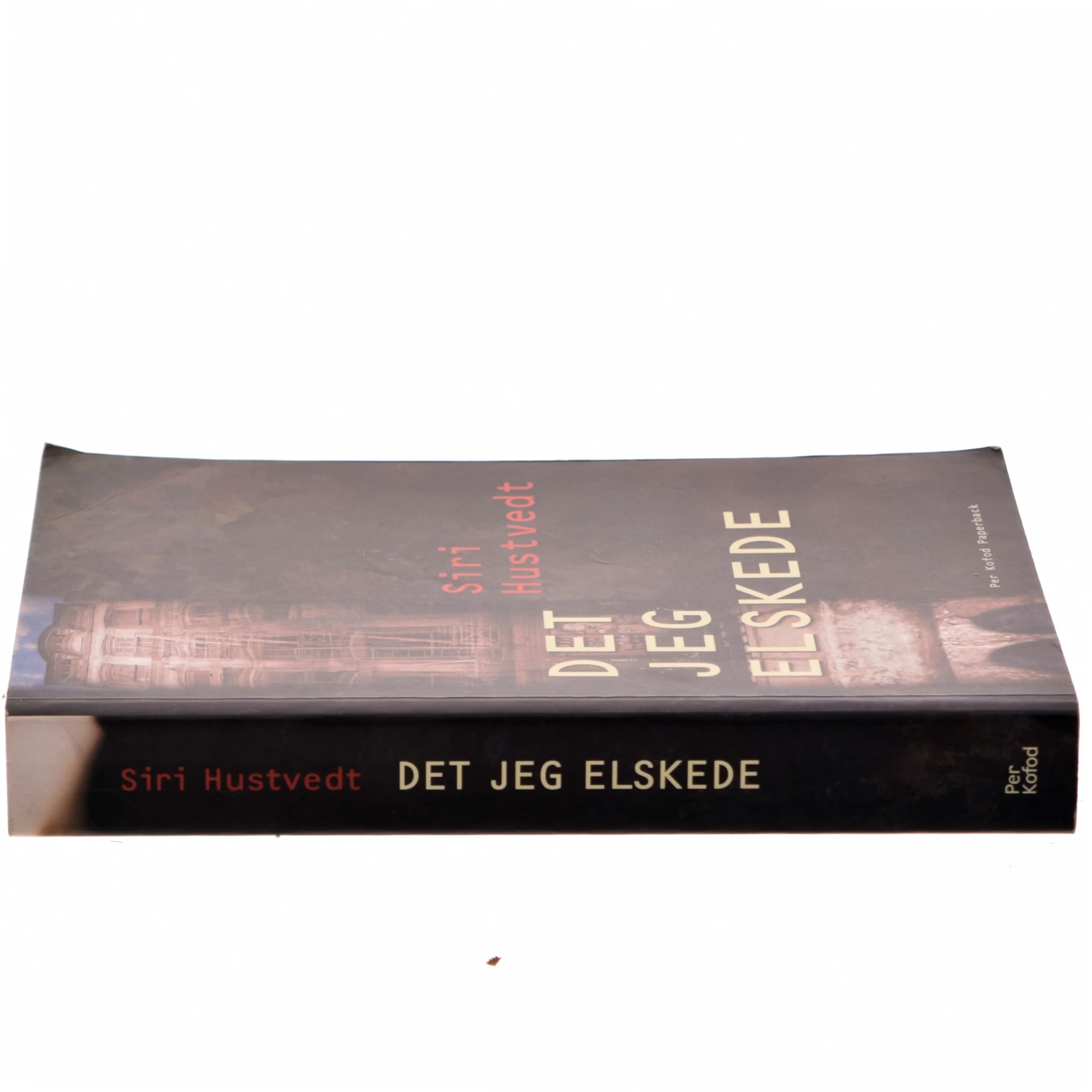 Det jeg elskede : roman af Siri Hustvedt (Bog)