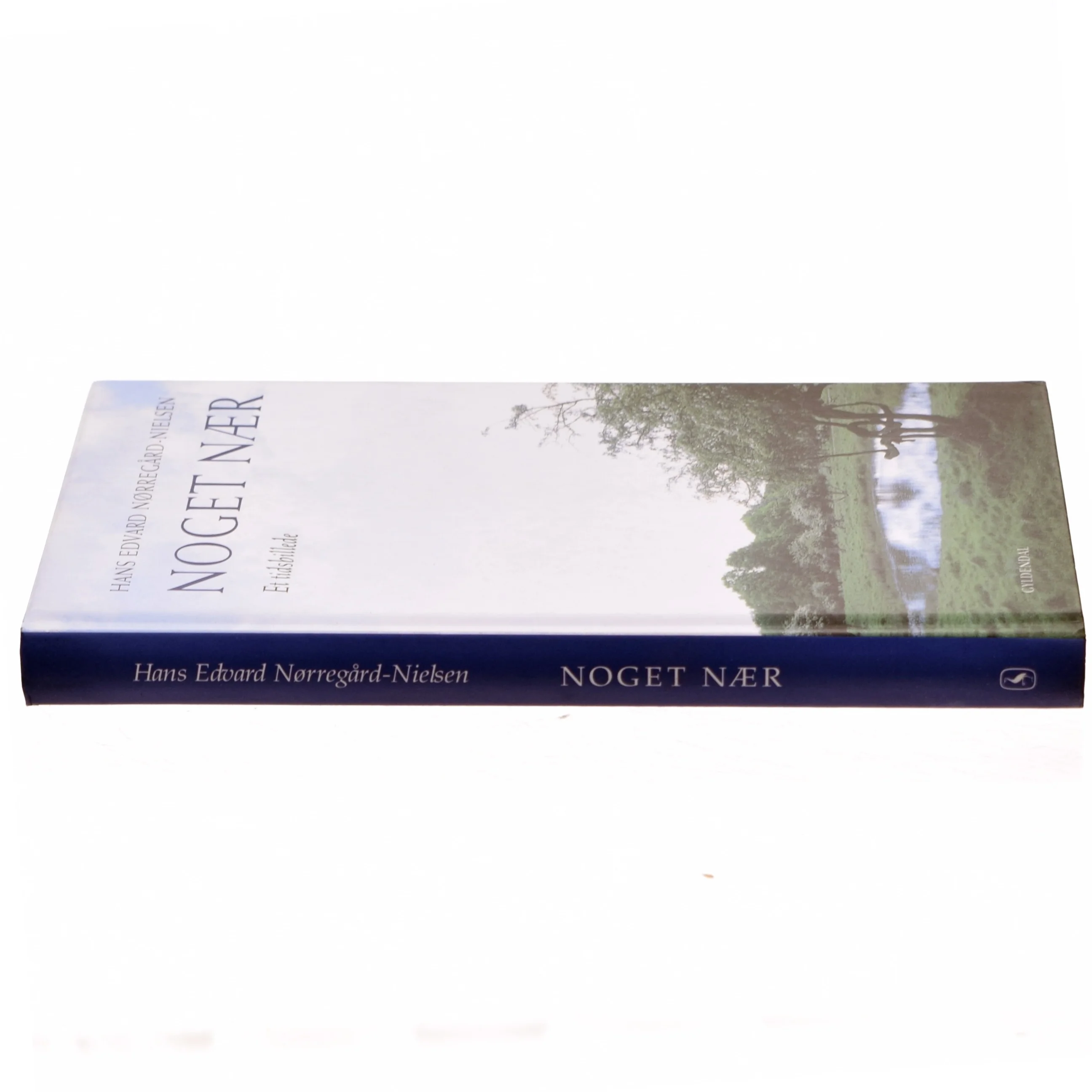 Noget nær af Hans Edvard Nørregård-Nielsen (Bog)