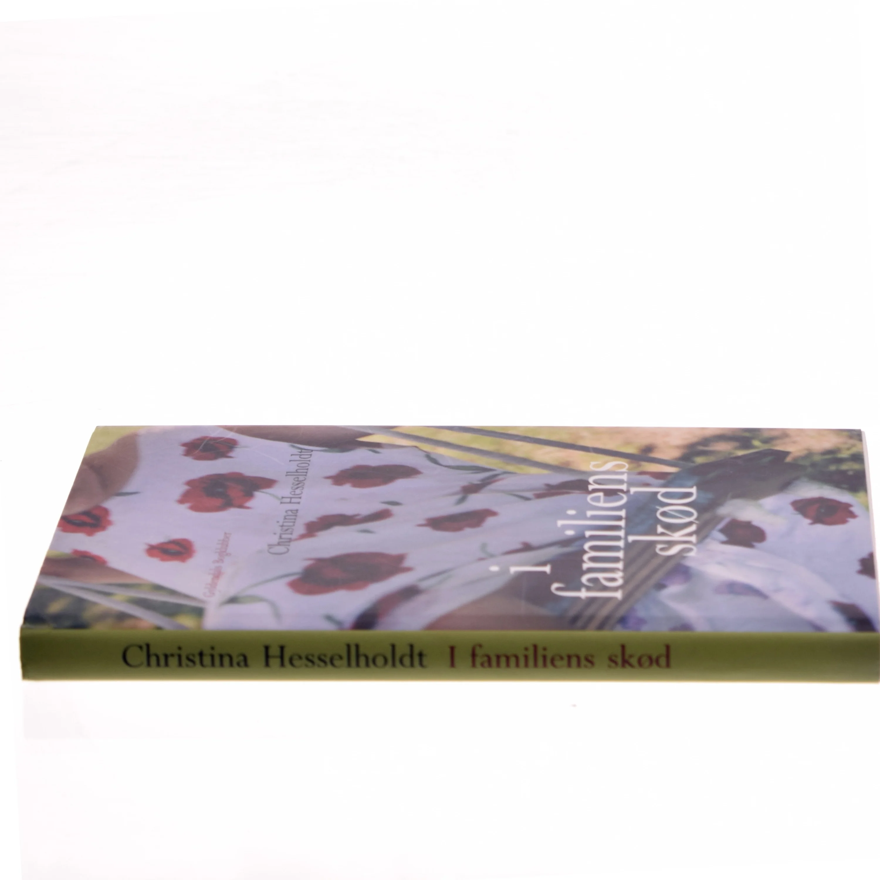 I familiens skød af Christina Hesselholdt (Bog)