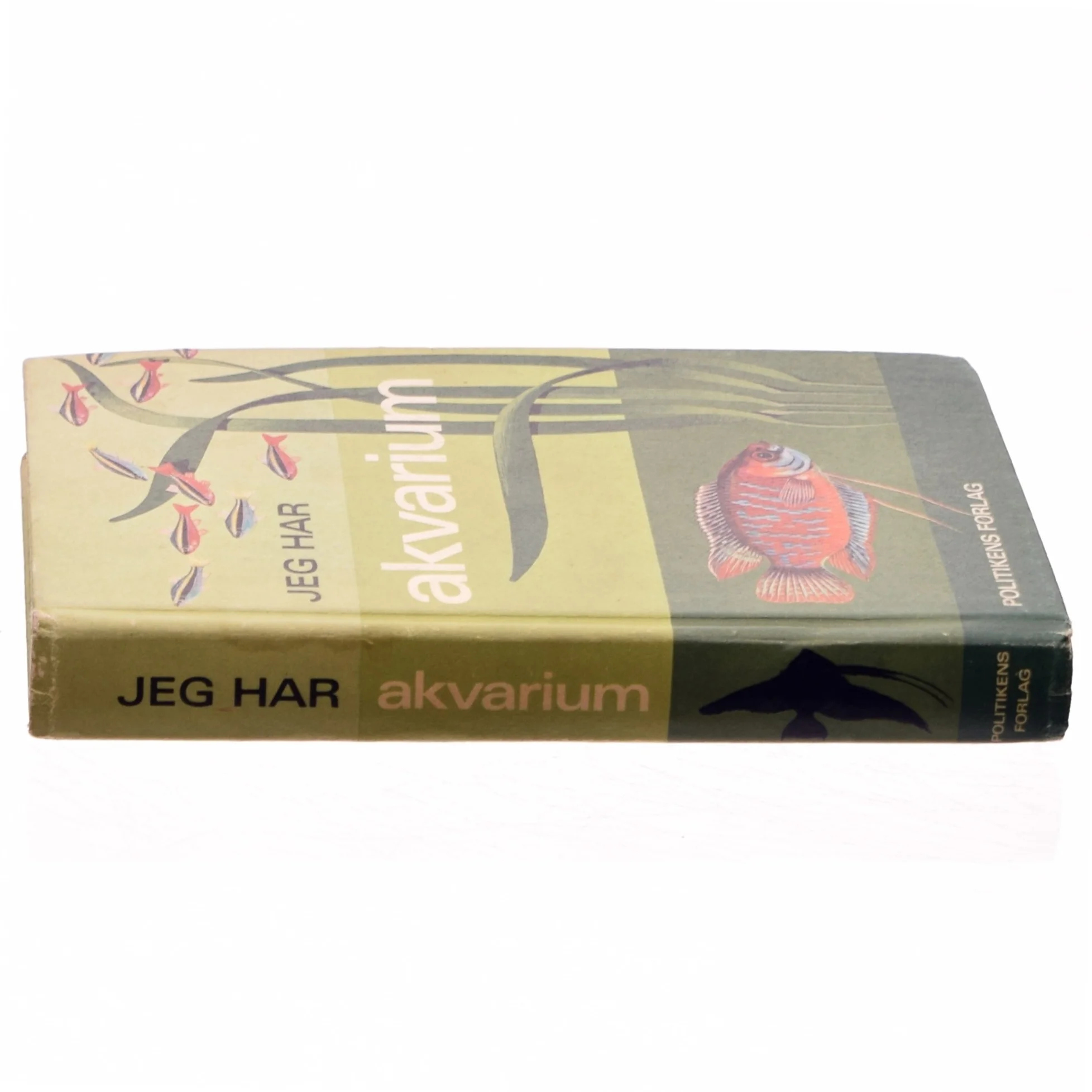 Jeg har akvarium (bog)