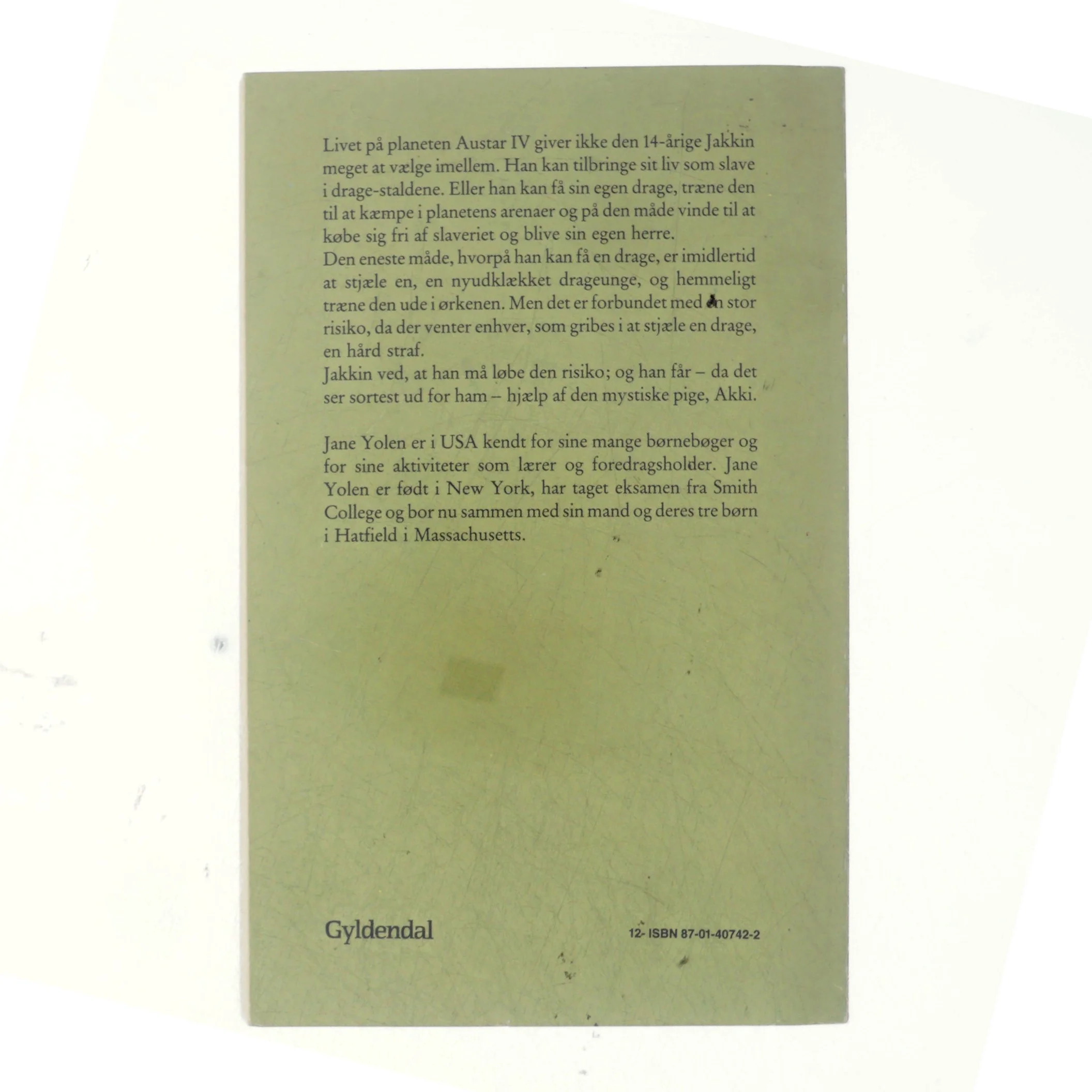 Den røde drage af Jane Yolen (bog)