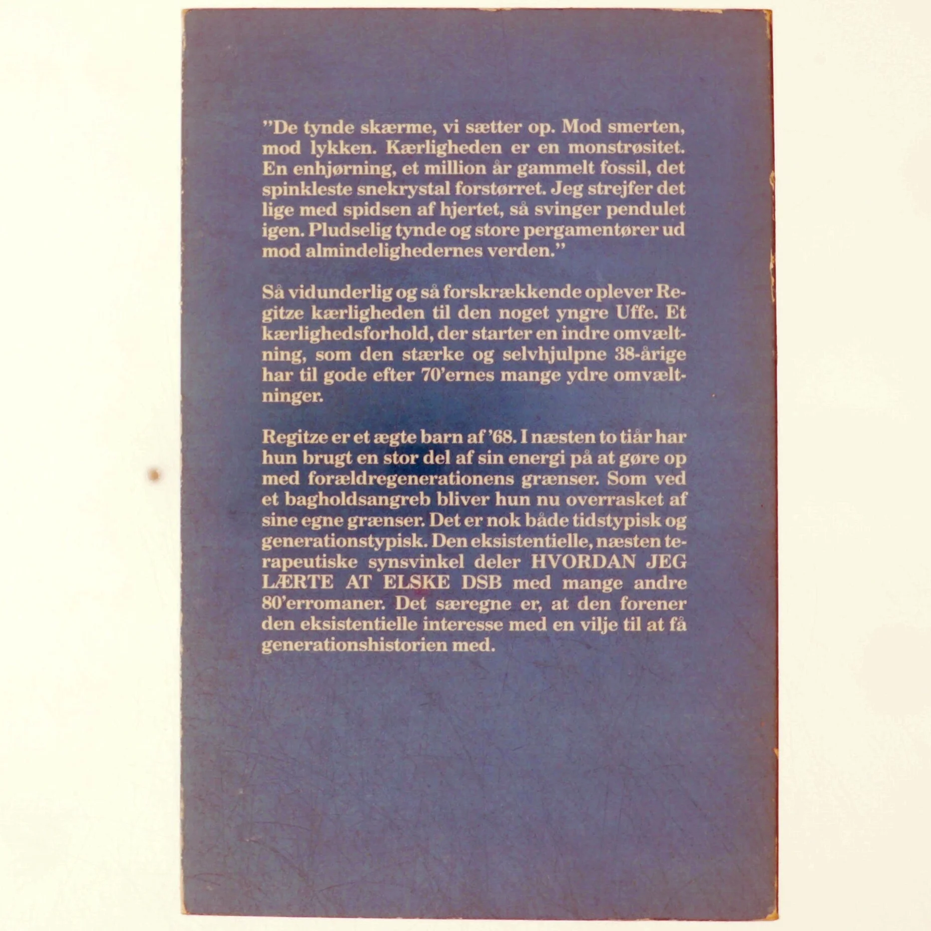 Hvordan jeg lærte at elske DSB af Mette Brandt (bog)