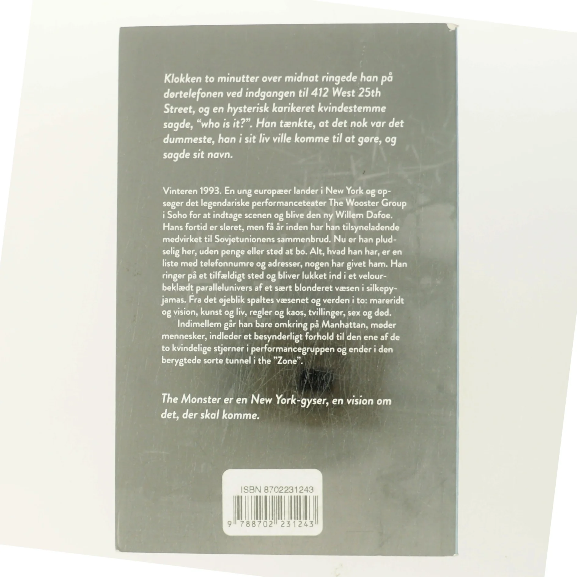 The monster : roman af Madame Nielsen (f. 1963) (Bog)