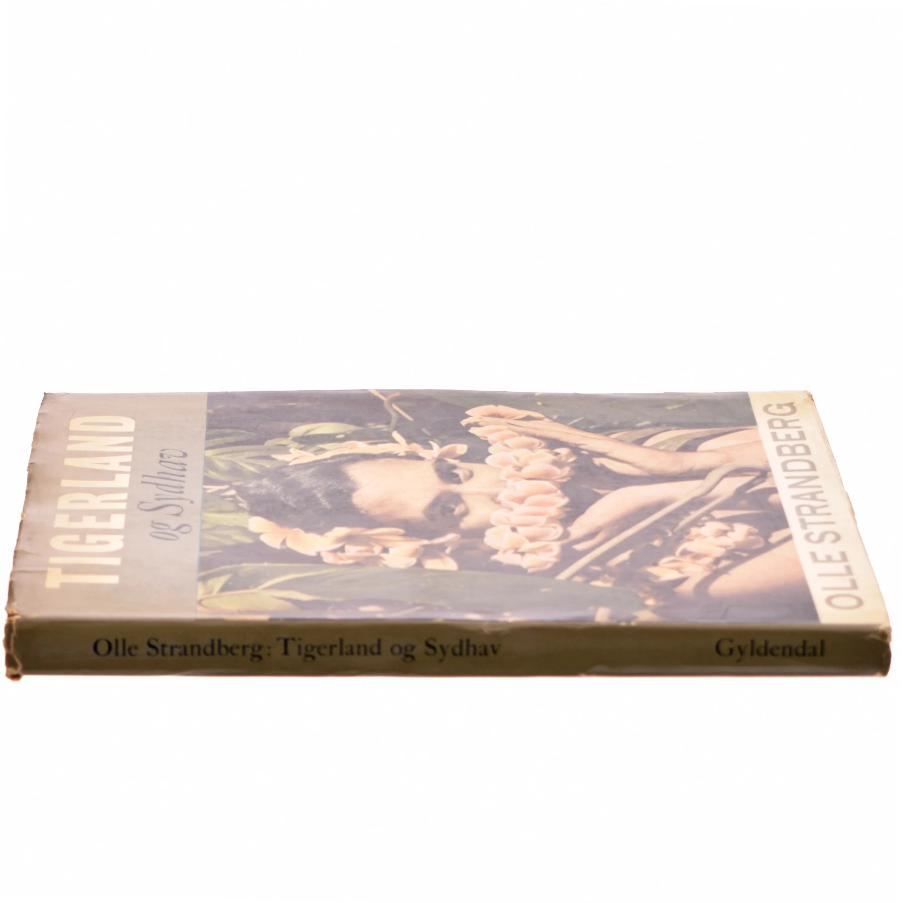 Tigerland og Sydhav af Olle Strandberg (bog)