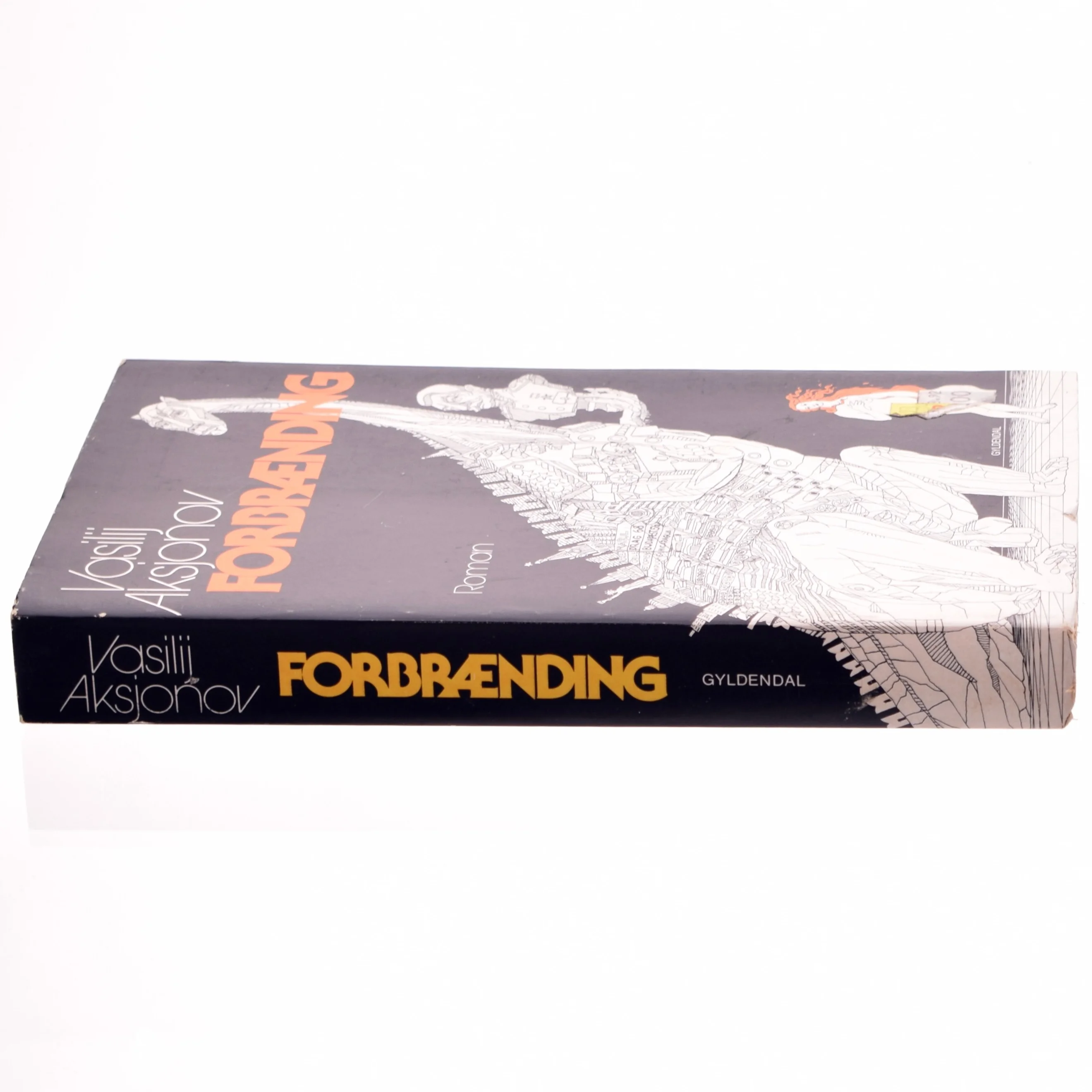 Forbrænding af Vasilij Aksjonov (bog)