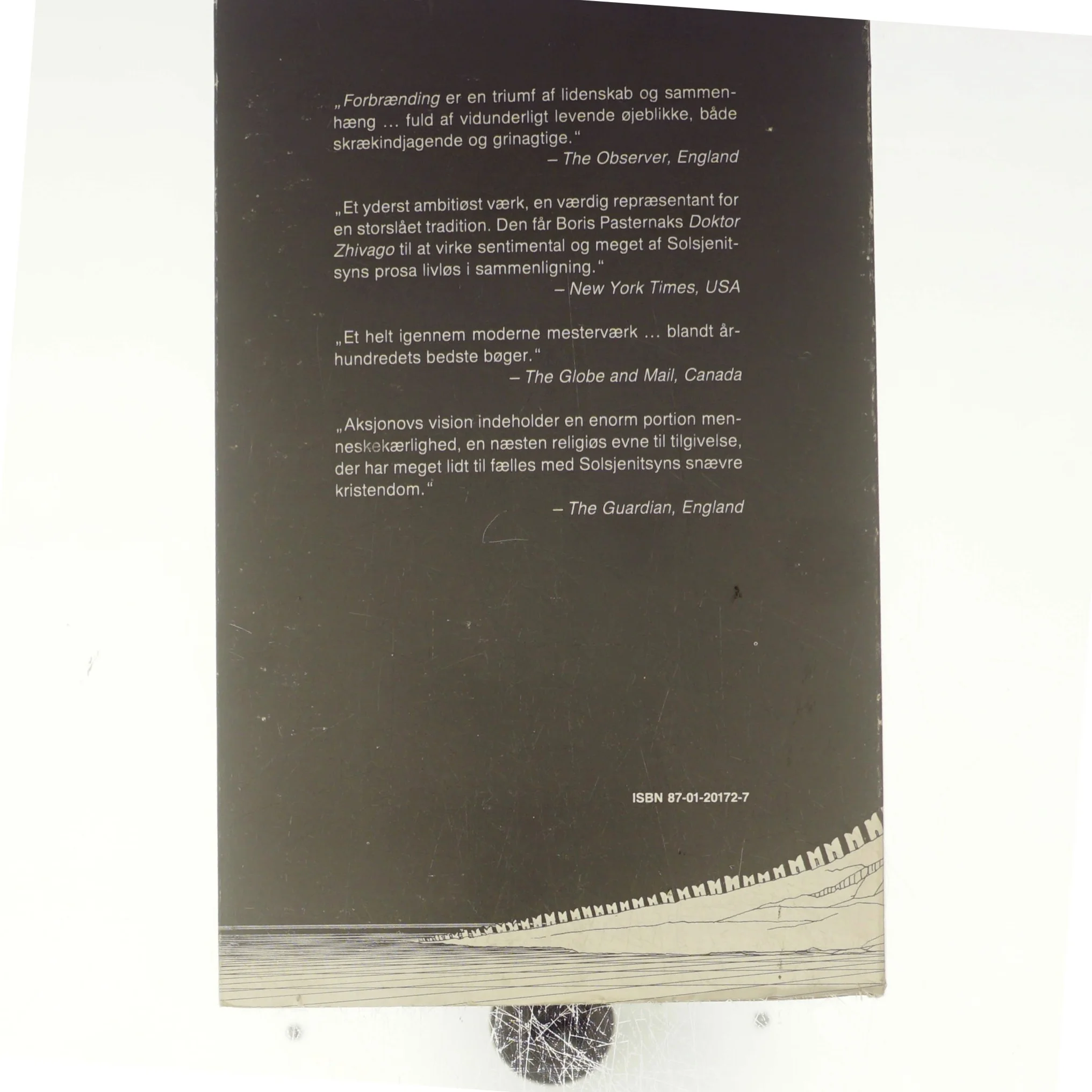 Forbrænding af Vasilij Aksjonov (bog)