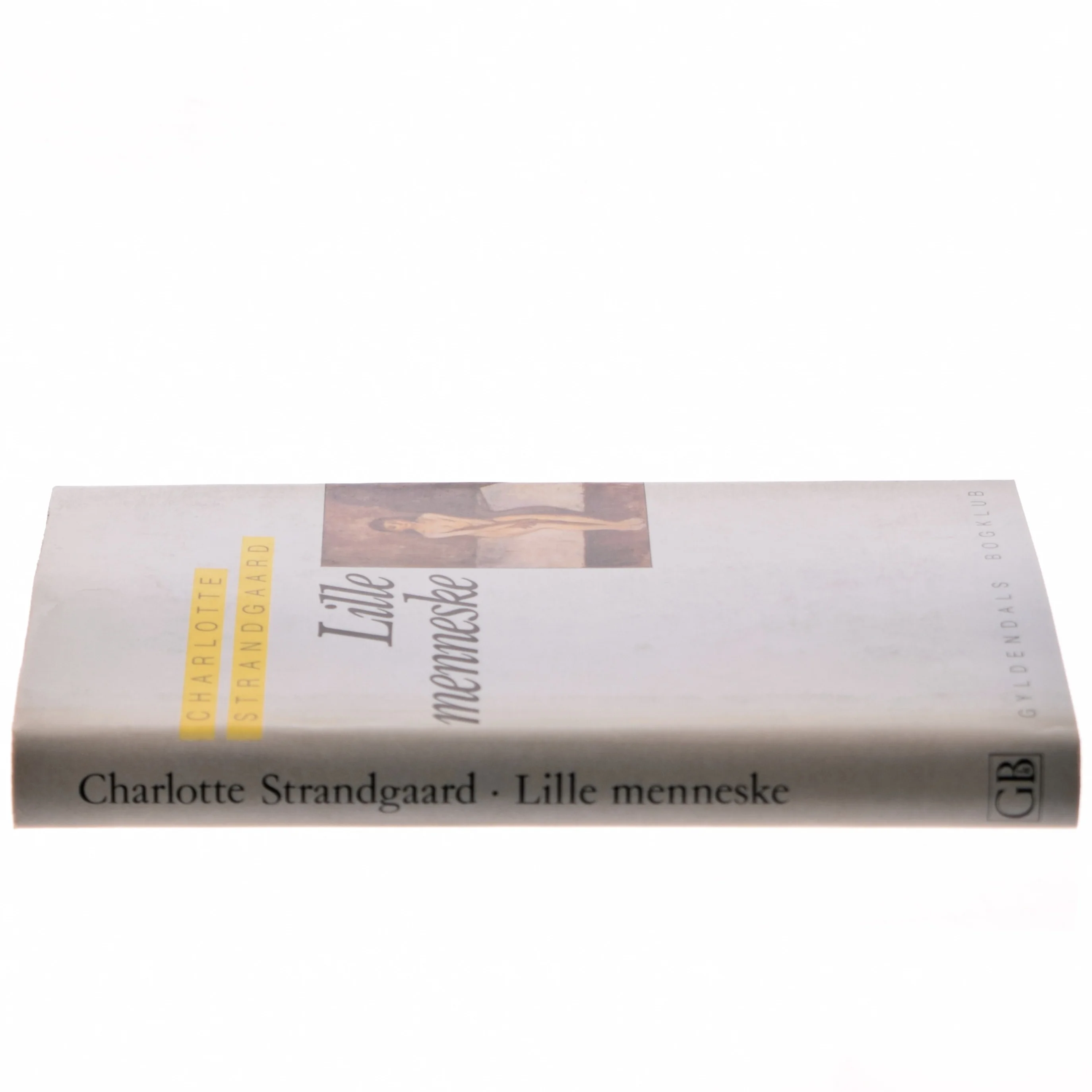 Lille menneske af Charlotte Strandgaard (Bog)